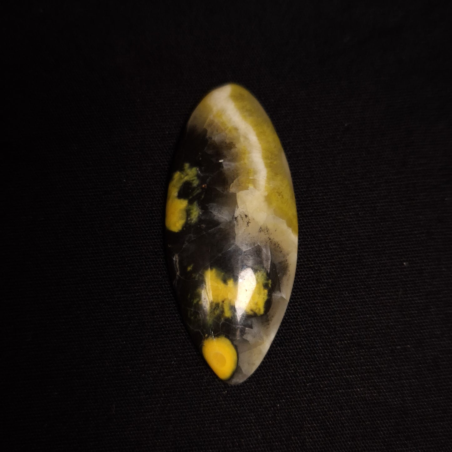 BUMBLEBEE JASPER CABOCHON 3SSBJC3