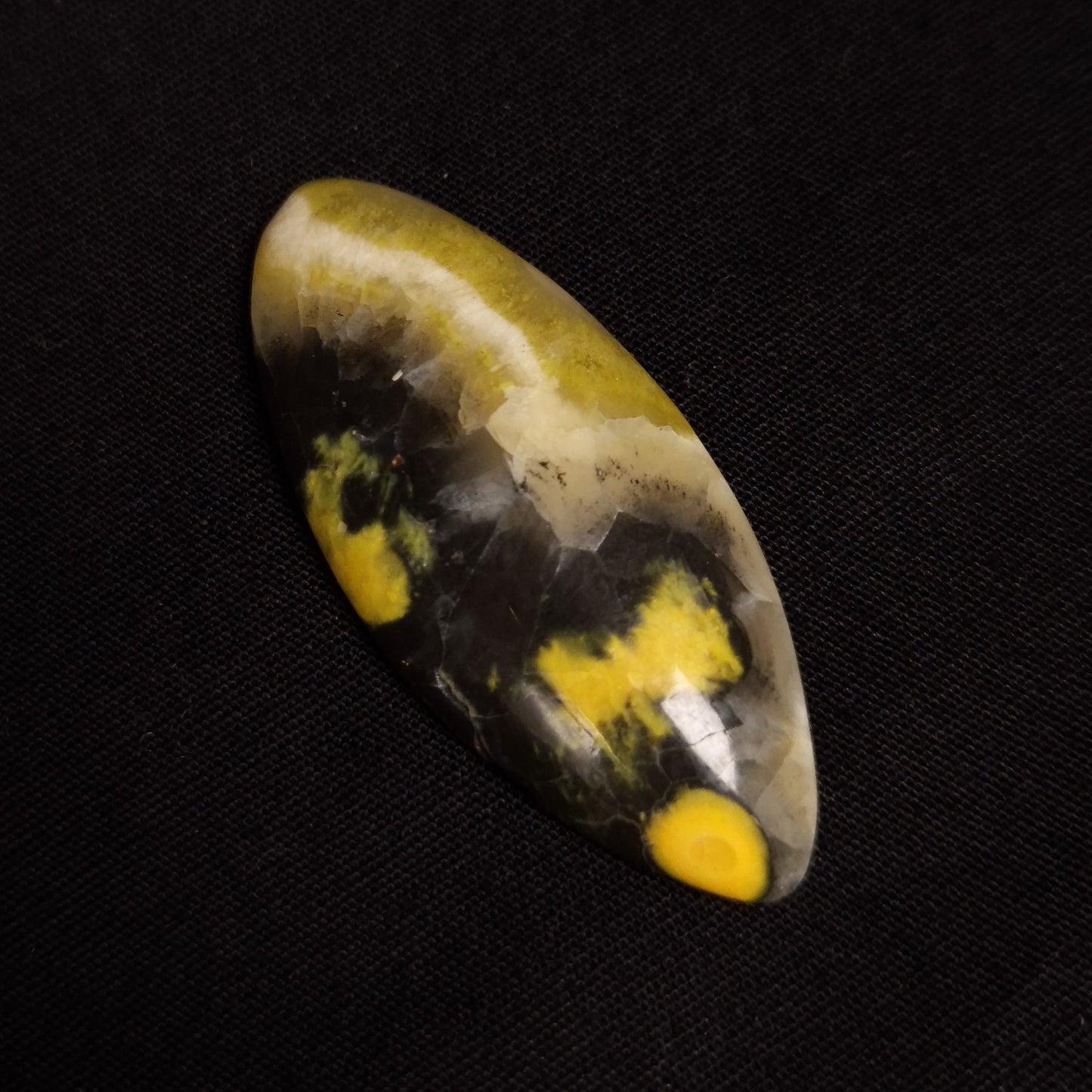 BUMBLEBEE JASPER CABOCHON 3SSBJC3