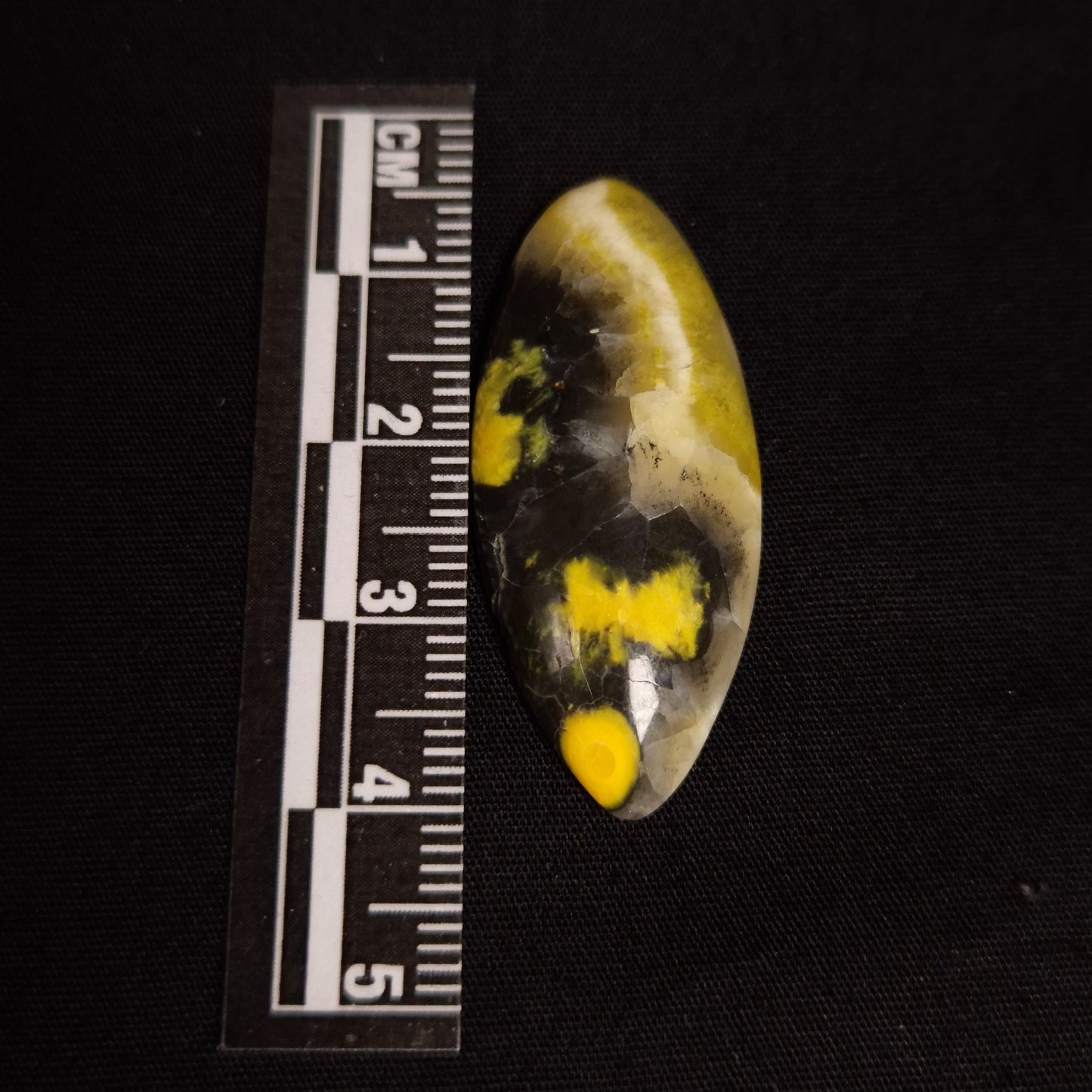 BUMBLEBEE JASPER CABOCHON 3SSBJC3