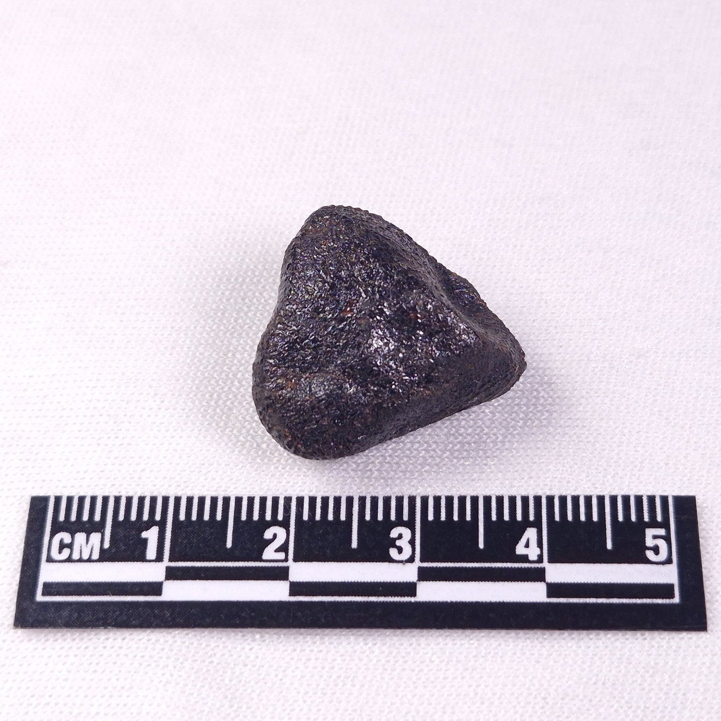 METEORITE CAMEL DONGA, Australia YCD003