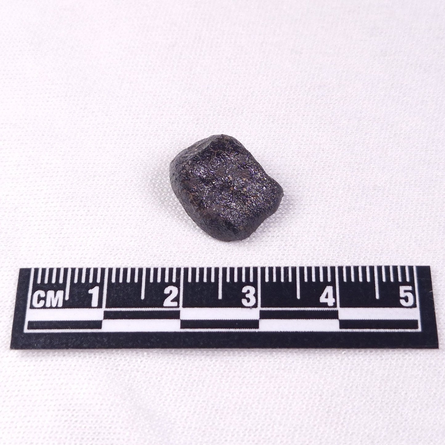 METEORITE CAMEL DONGA, Australia YCD004