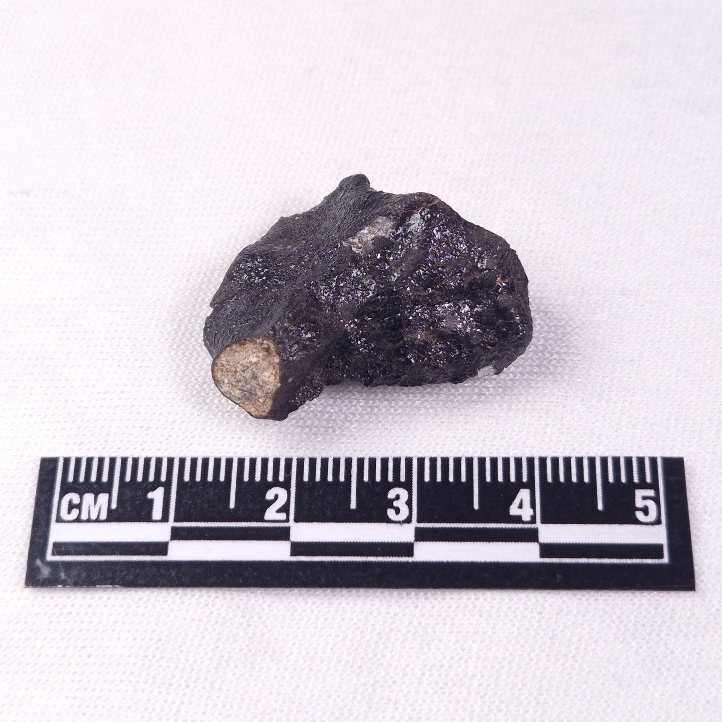METEORITE CAMEL DONGA, Australia YCD005