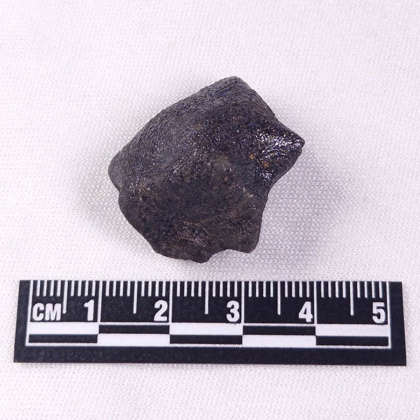METEORITE CAMEL DONGA, Australia YCD006