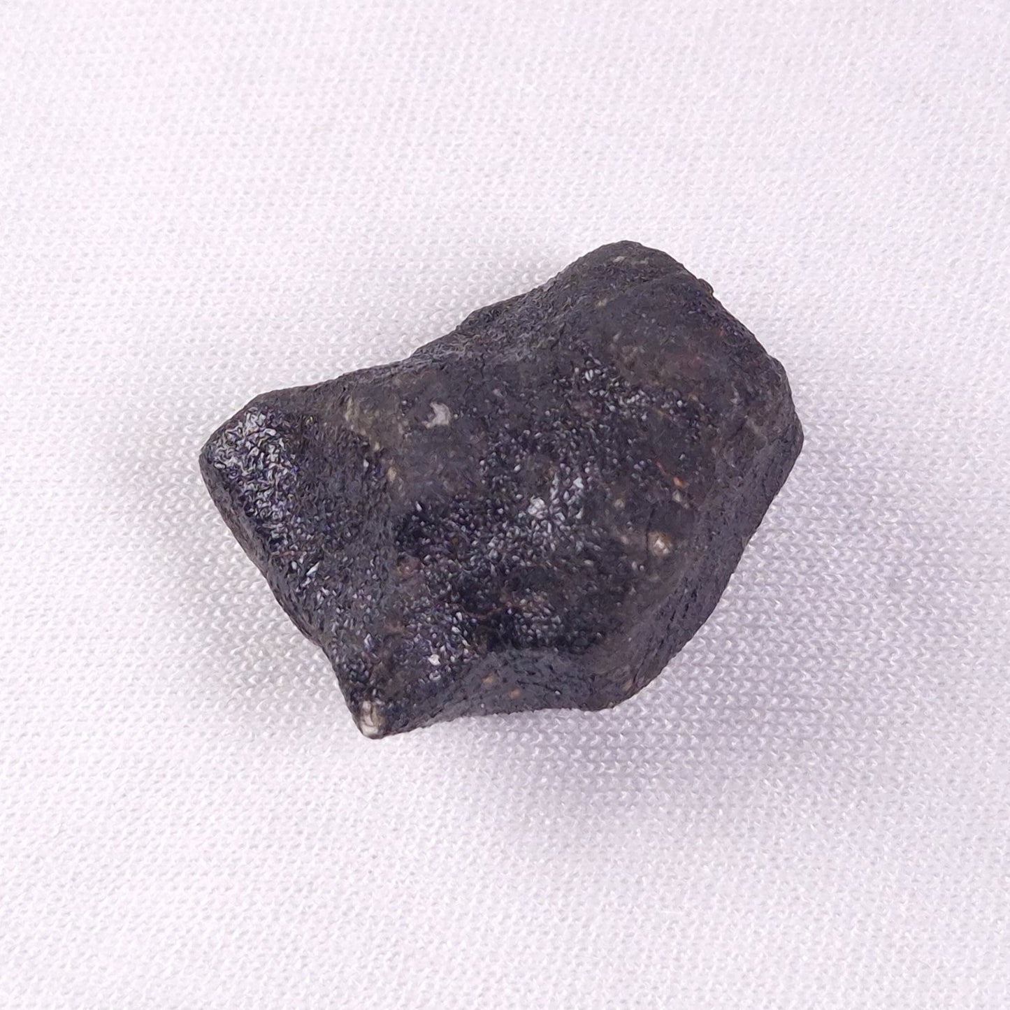 METEORITE CAMEL DONGA, Australia YCD006