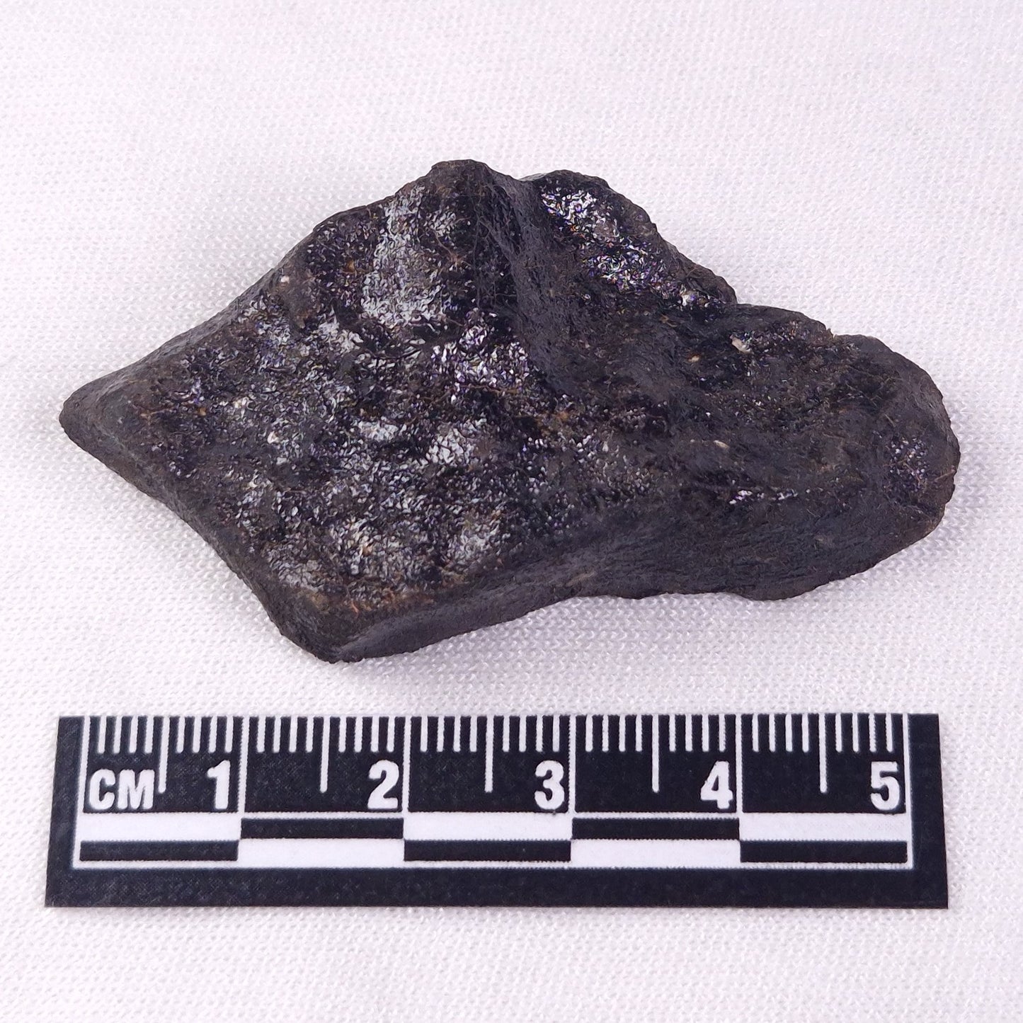 METEORITE CAMEL DONGA, Australia YCD007