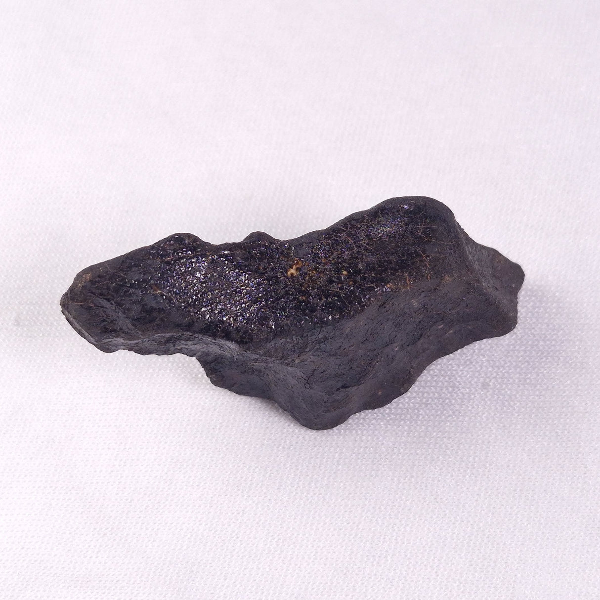 METEORITE CAMEL DONGA, Australia YCD007