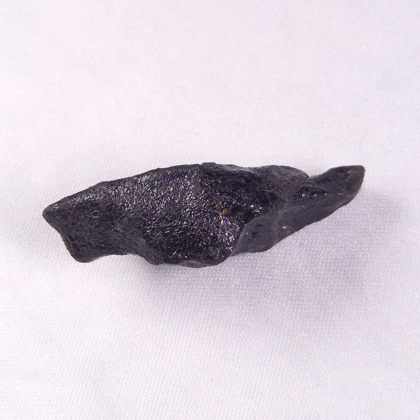 METEORITE CAMEL DONGA, Australia YCD007