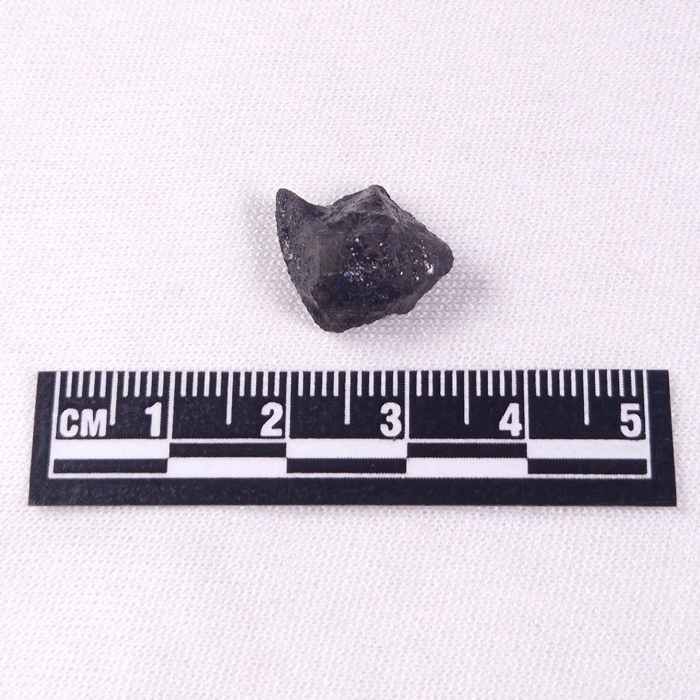 METEORITE CAMEL DONGA, Australia YCD010