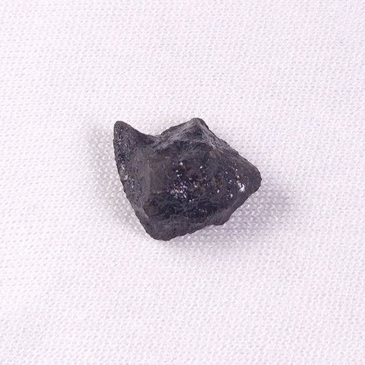 METEORITE CAMEL DONGA, Australia YCD010