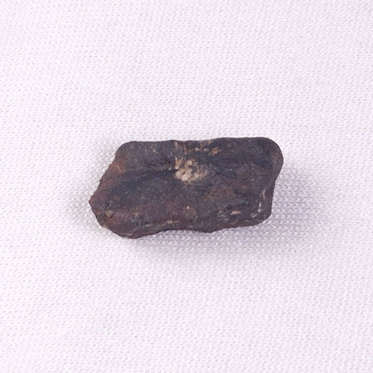 METEORITE CAMEL DONGA, Australia YCD011