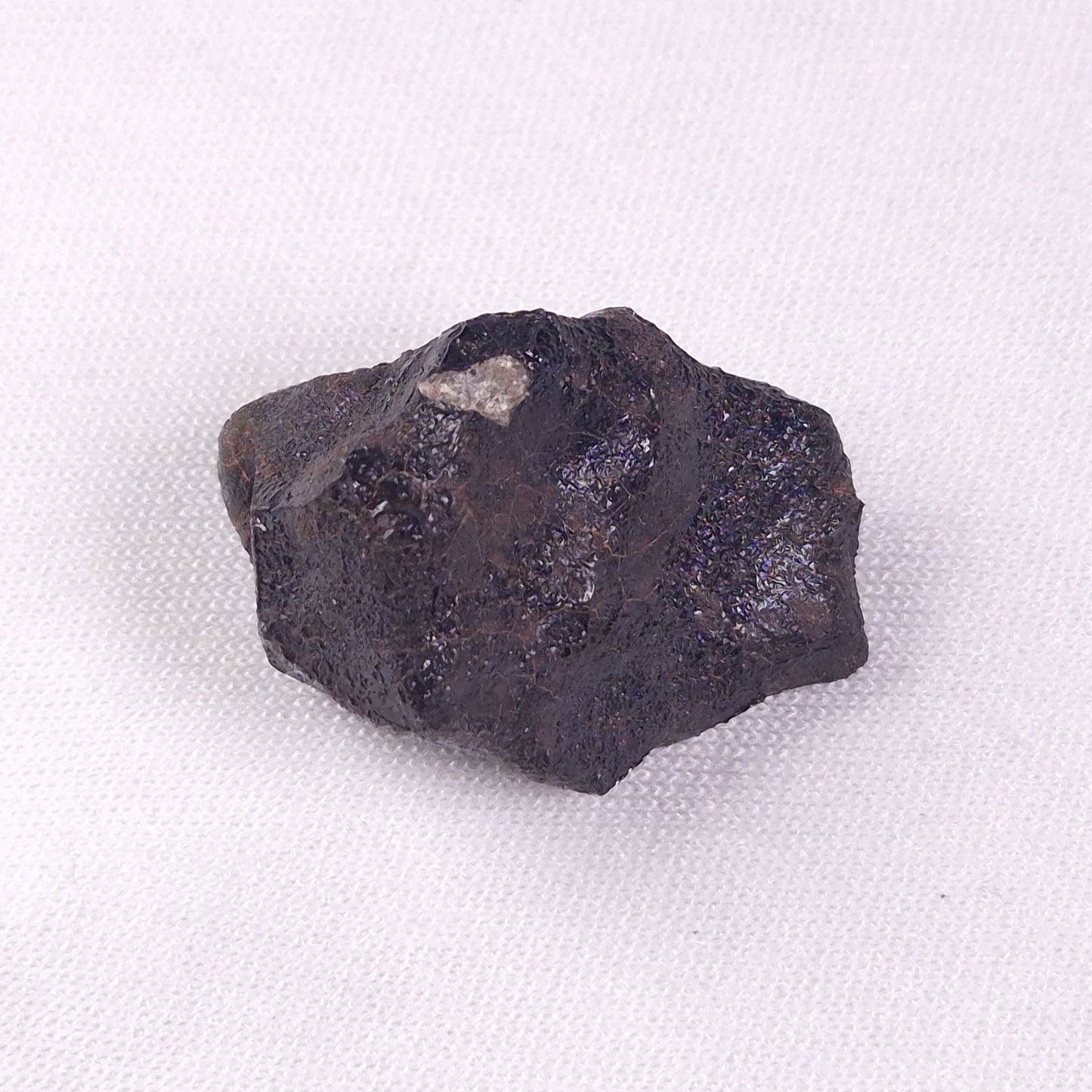 METEORITE CAMEL DONGA, Australia YCD014