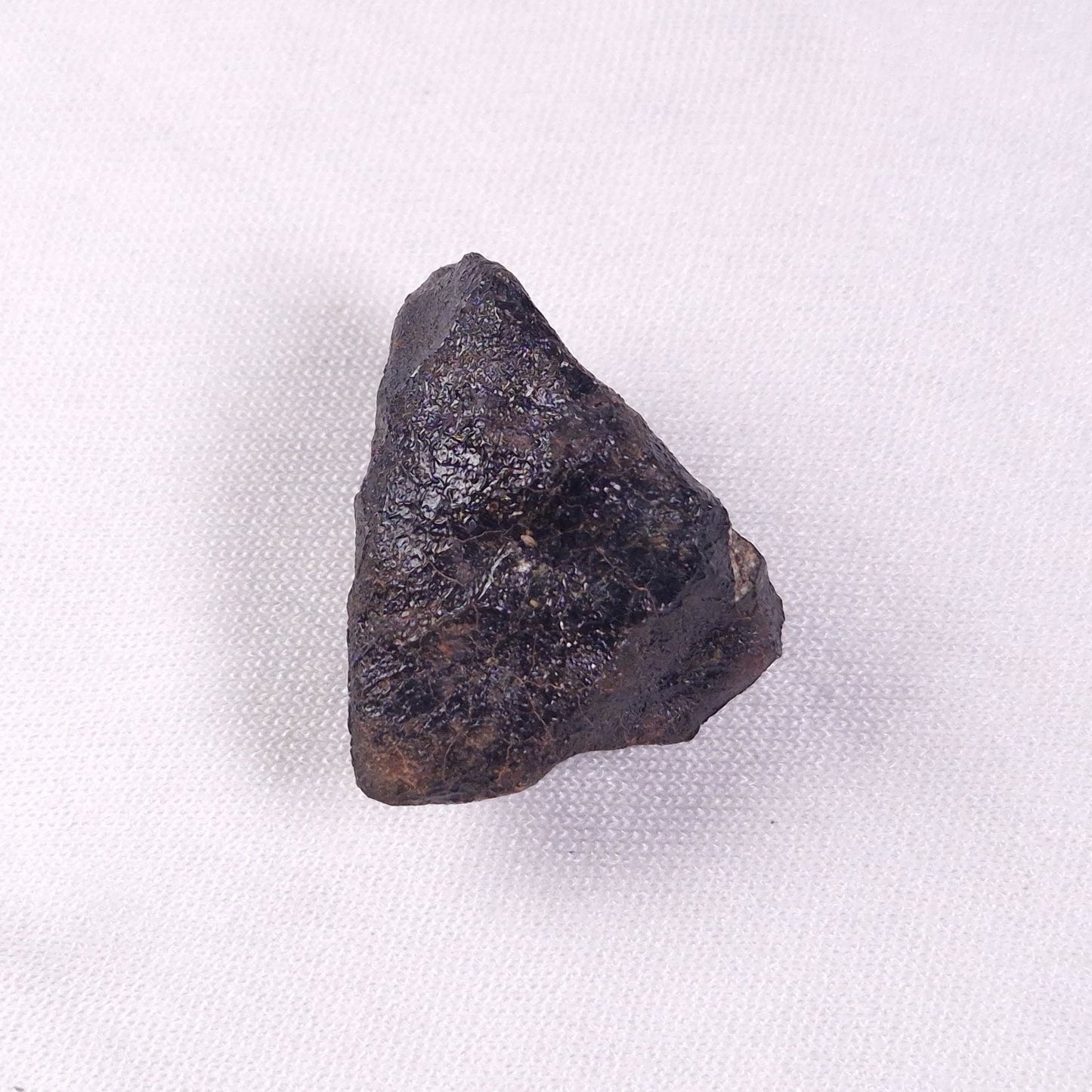 METEORITE CAMEL DONGA, Australia YCD014
