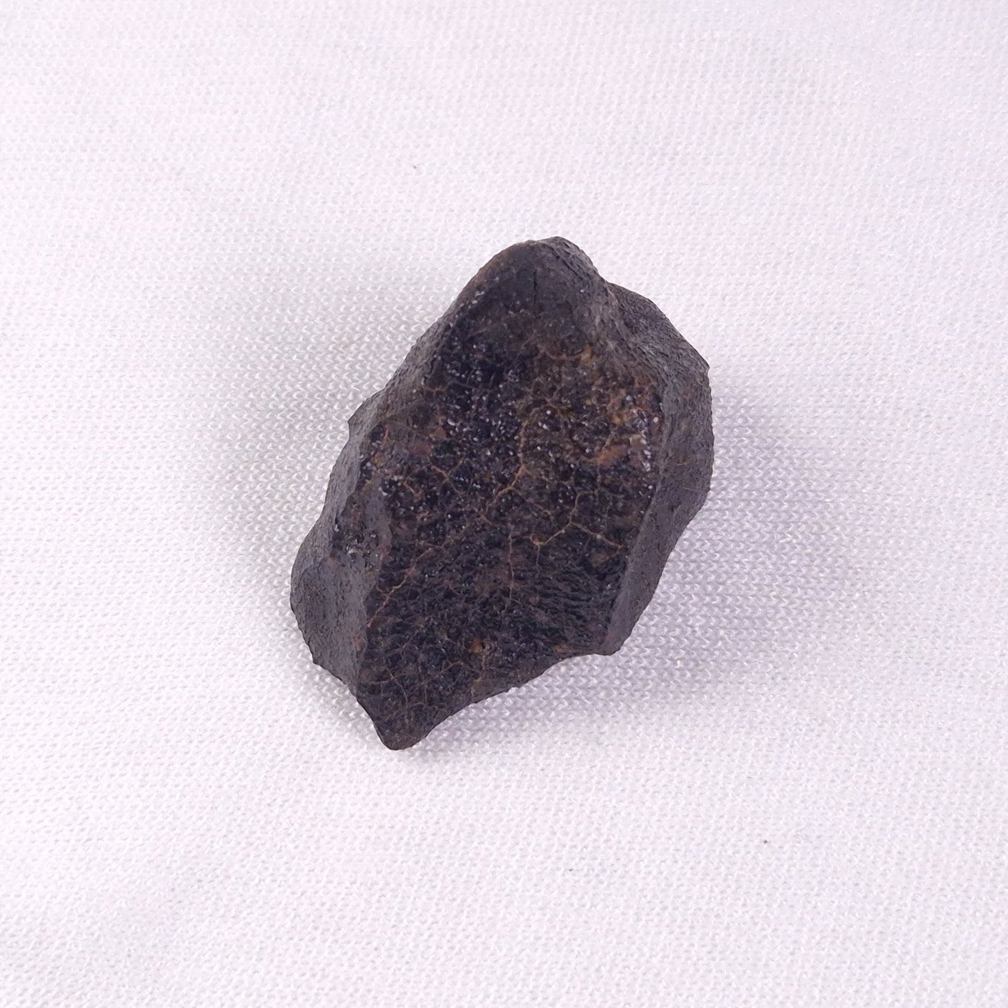 METEORITE CAMEL DONGA, Australia YCD014