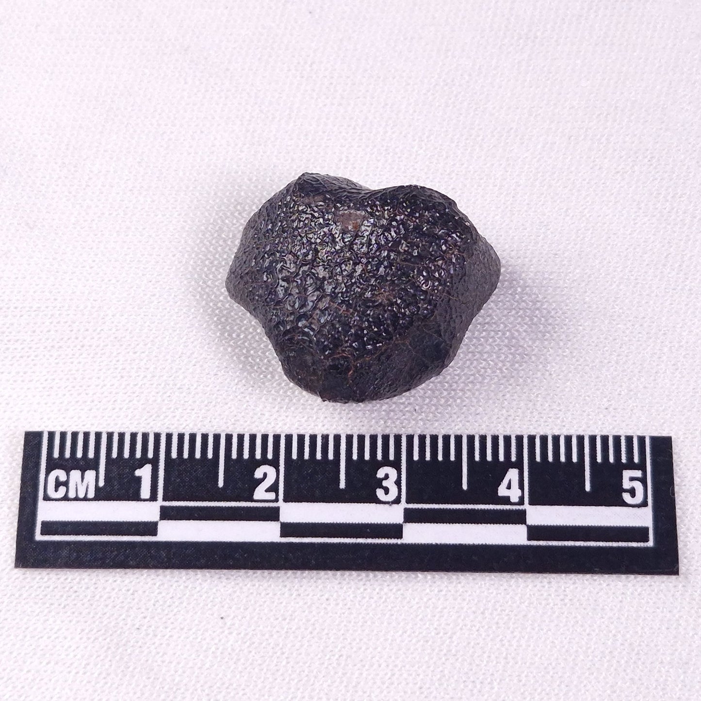 METEORITE CAMEL DONGA, Australia YCD018