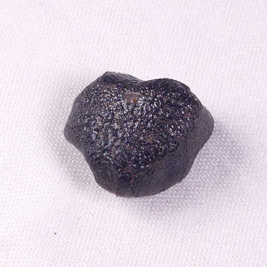 METEORITE CAMEL DONGA, Australia YCD018