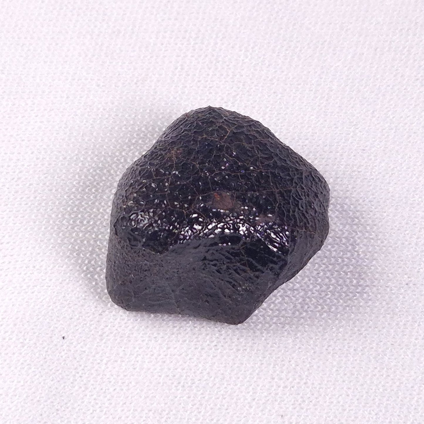 METEORITE CAMEL DONGA, Australia YCD018