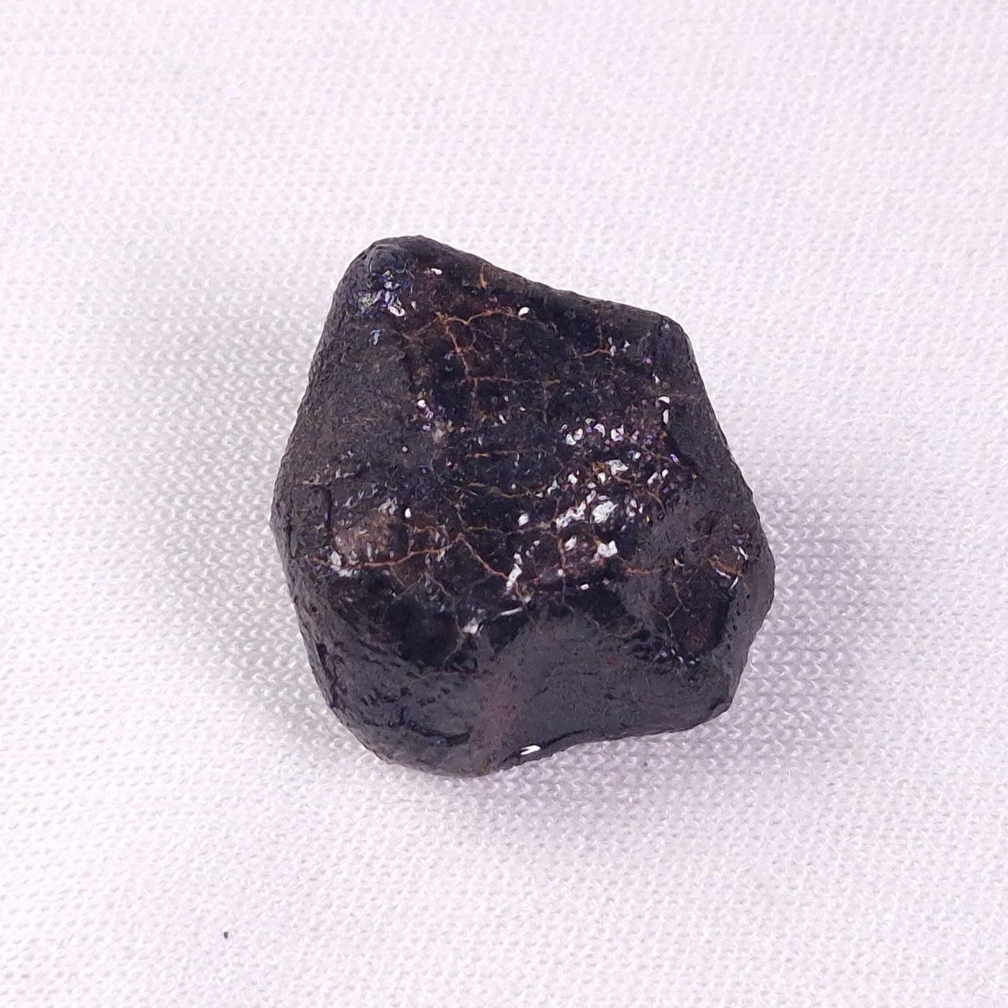 METEORITE CAMEL DONGA, Australia YCD018