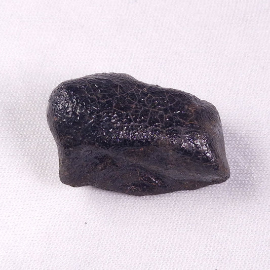 METEORITE CAMEL DONGA, Australia YCD020