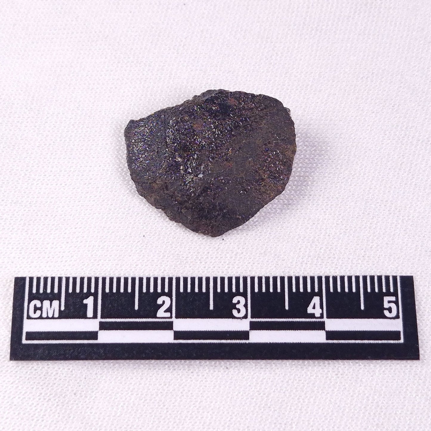 METEORITE CAMEL DONGA, Australia YCD021