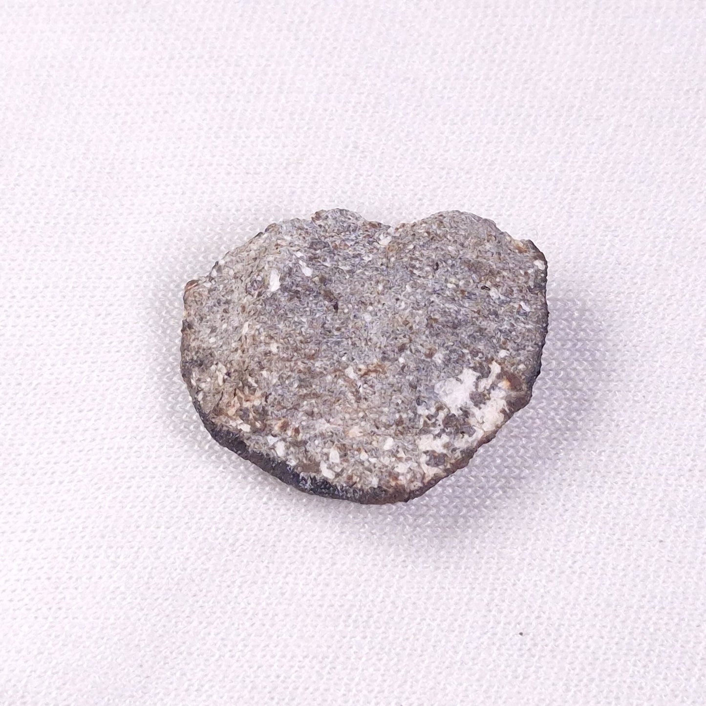 METEORITE CAMEL DONGA, Australia YCD021