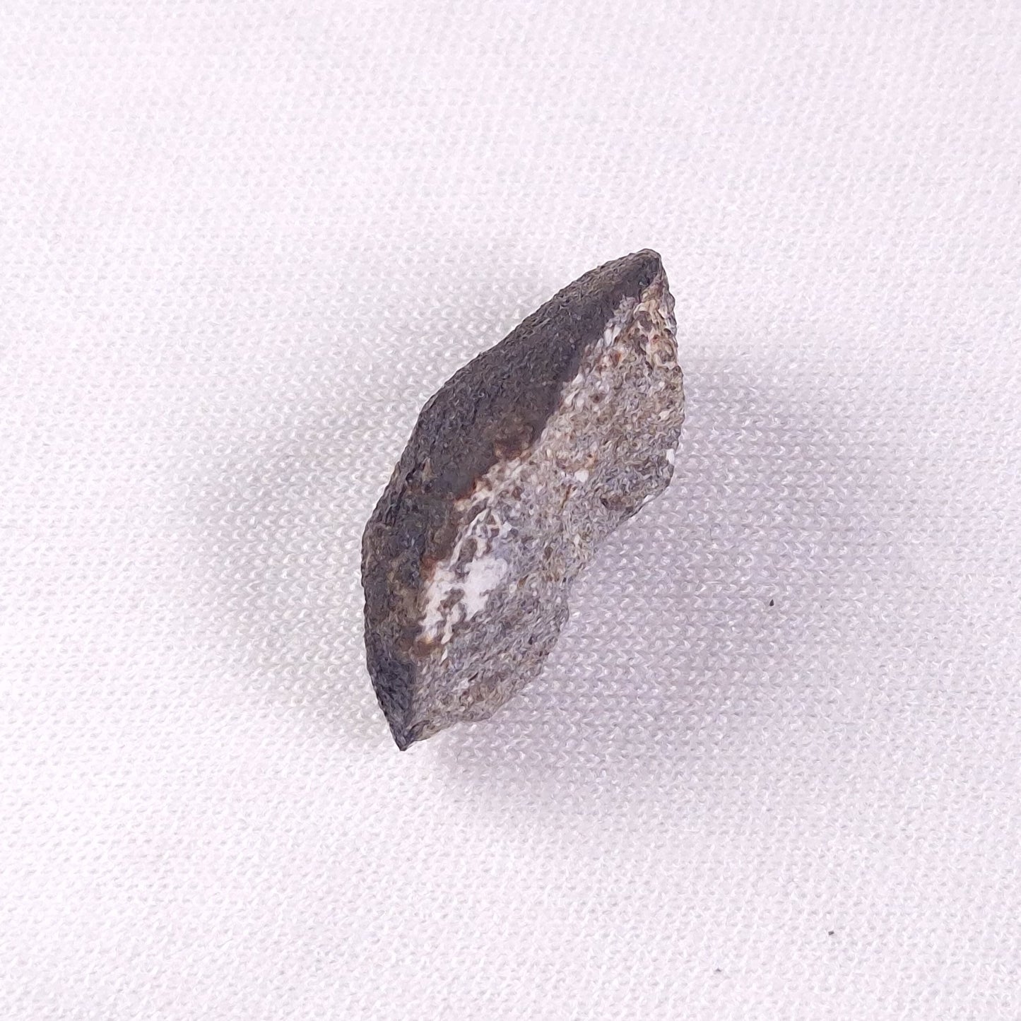 METEORITE CAMEL DONGA, Australia YCD021