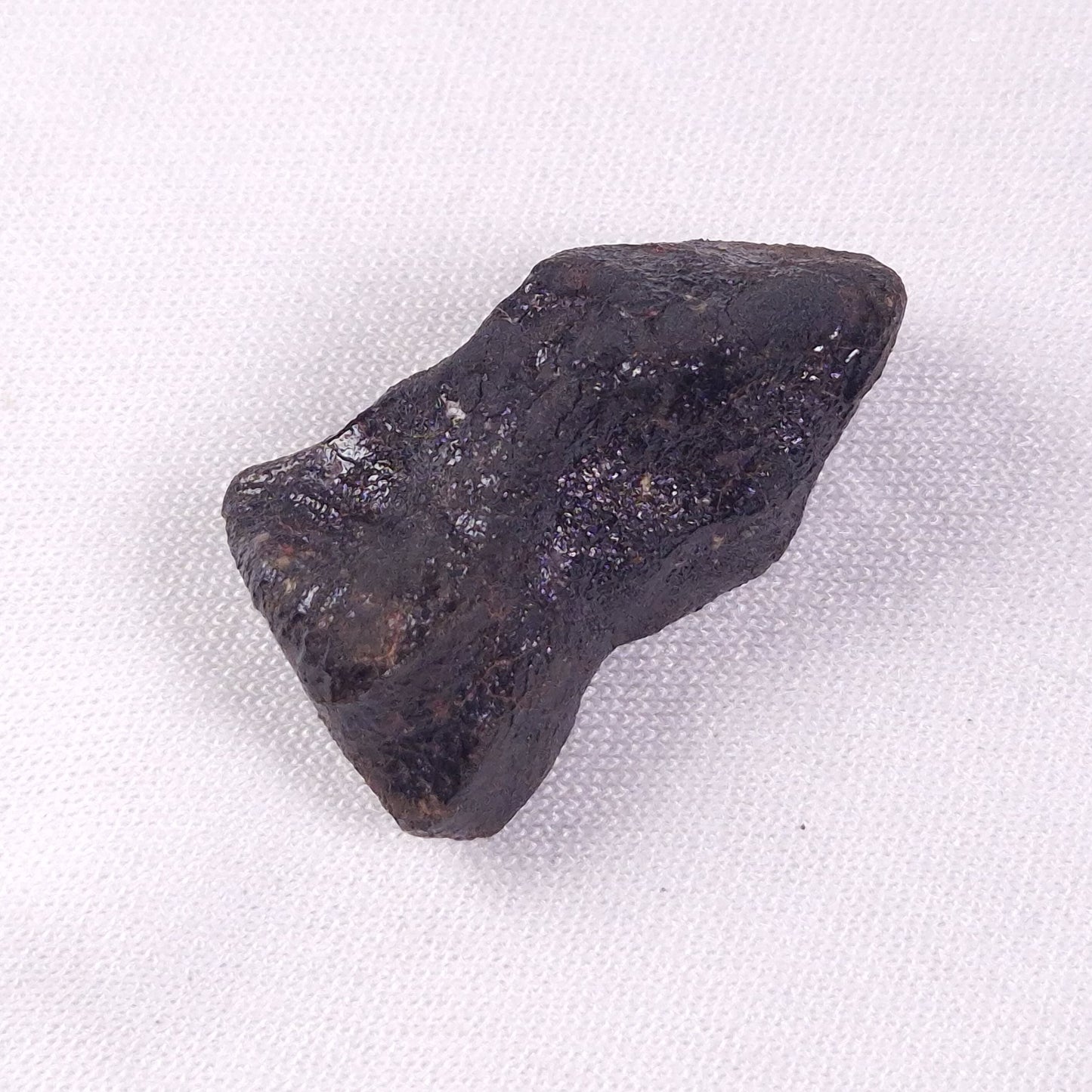 METEORITE CAMEL DONGA, Australia YCD022