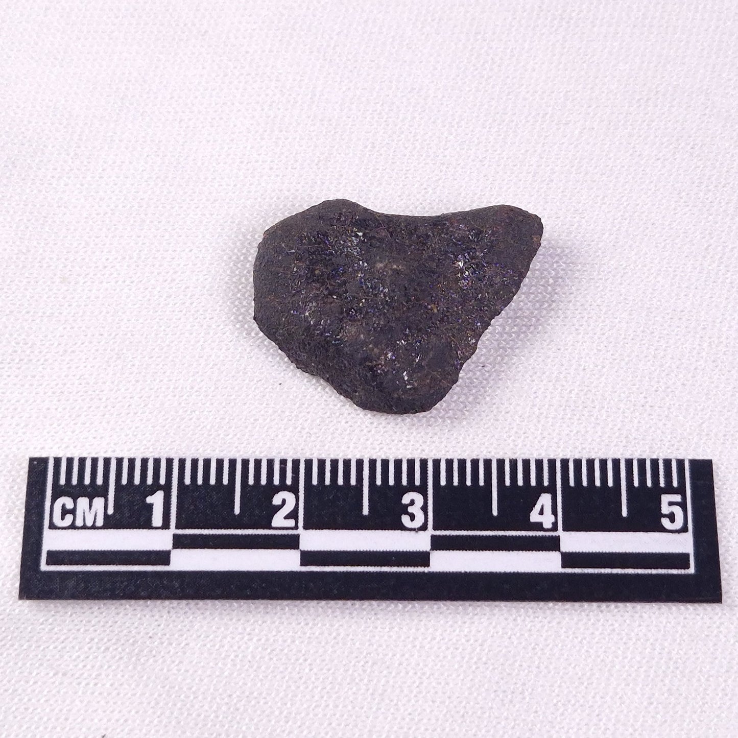 METEORITE CAMEL DONGA, Australia YCD023