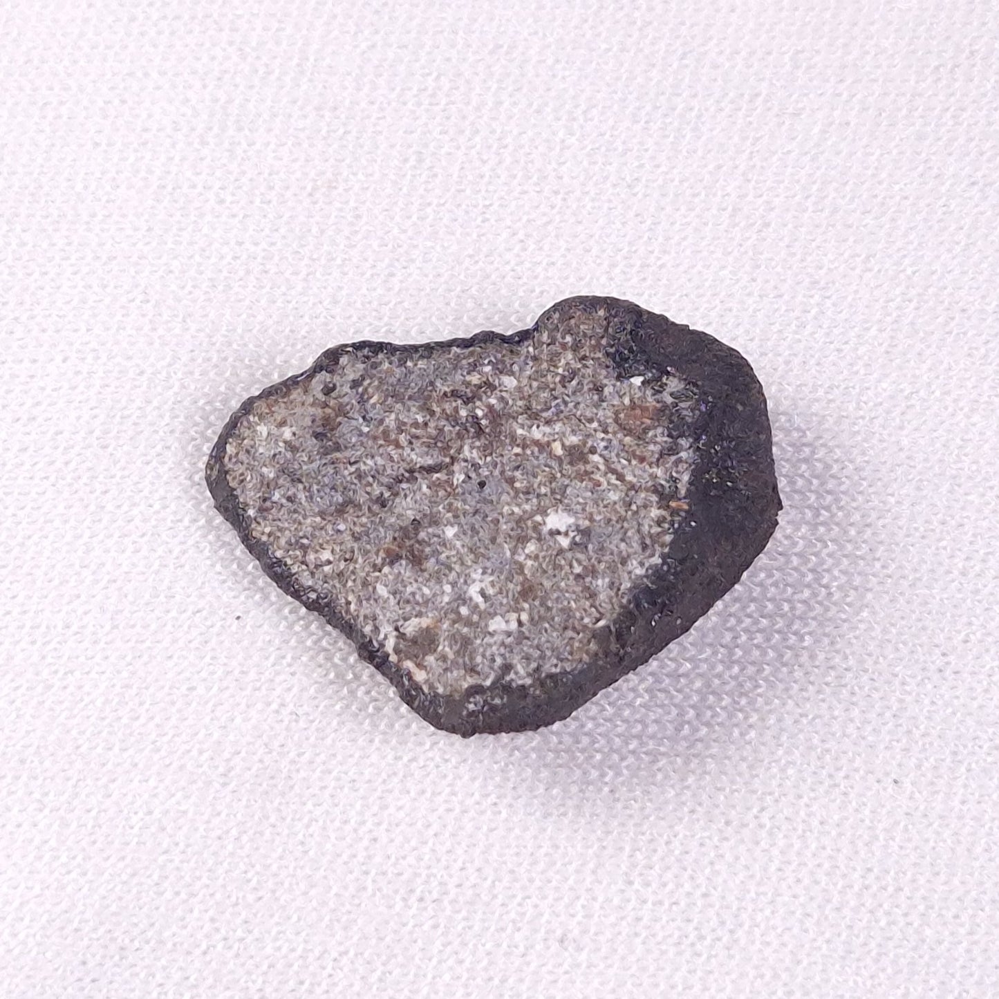 METEORITE CAMEL DONGA, Australia YCD023