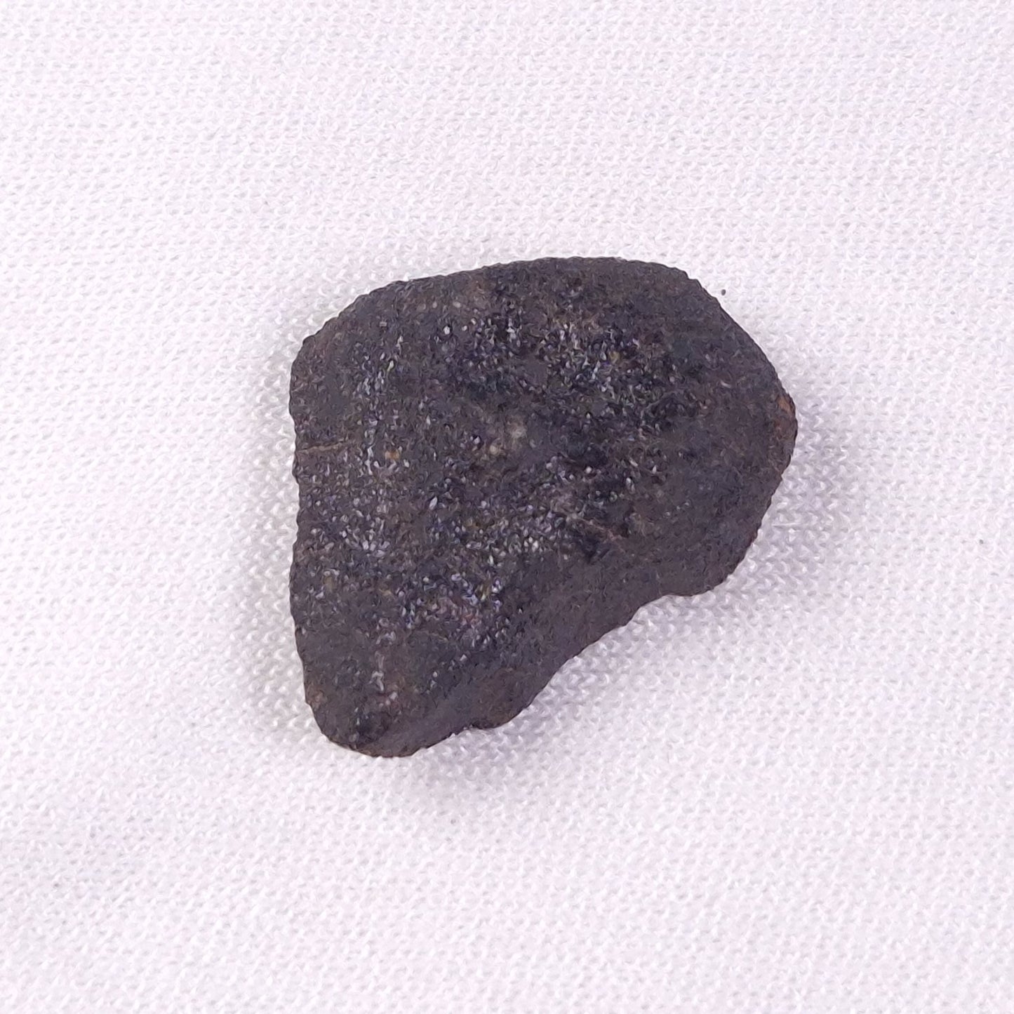 METEORITE CAMEL DONGA, Australia YCD023