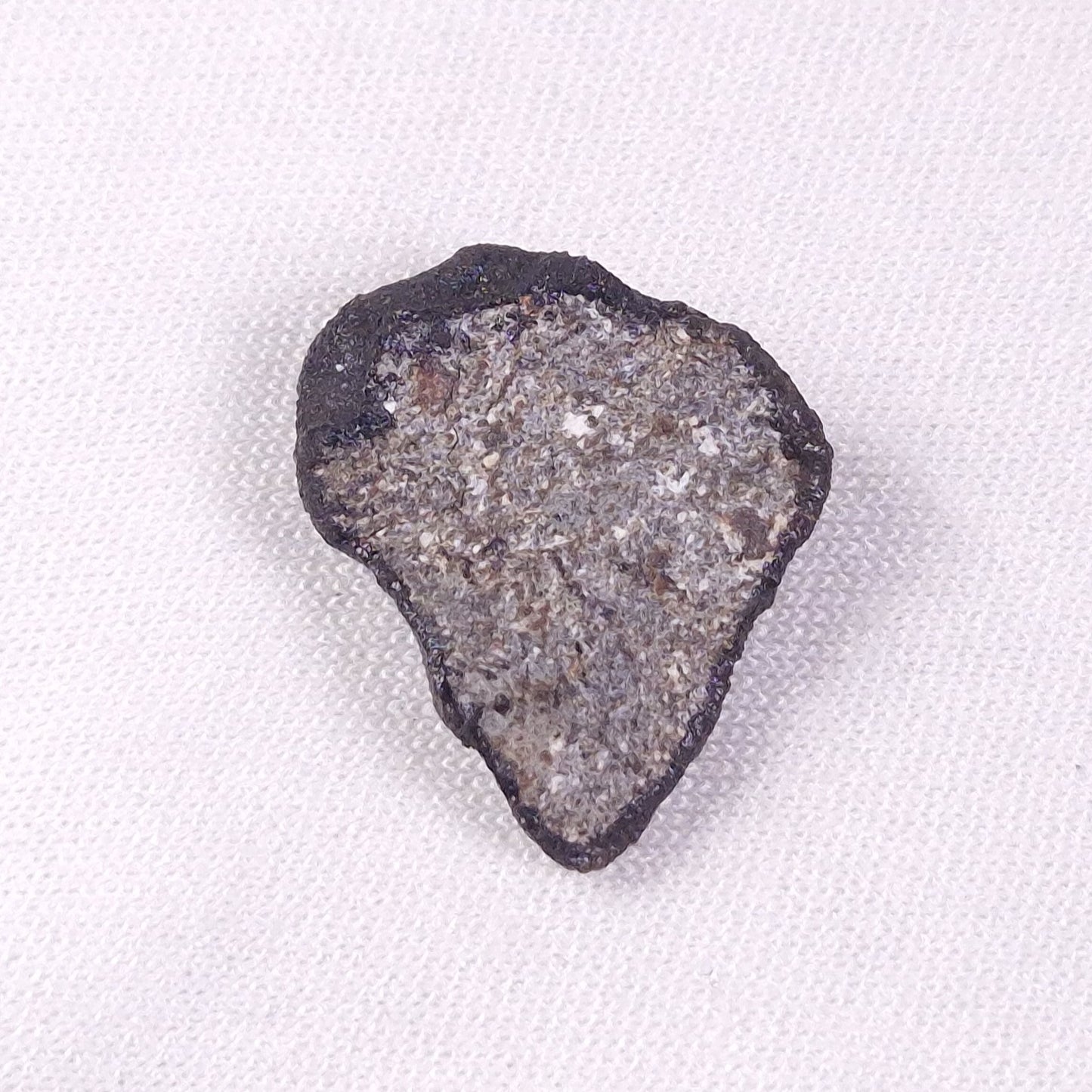 METEORITE CAMEL DONGA, Australia YCD023