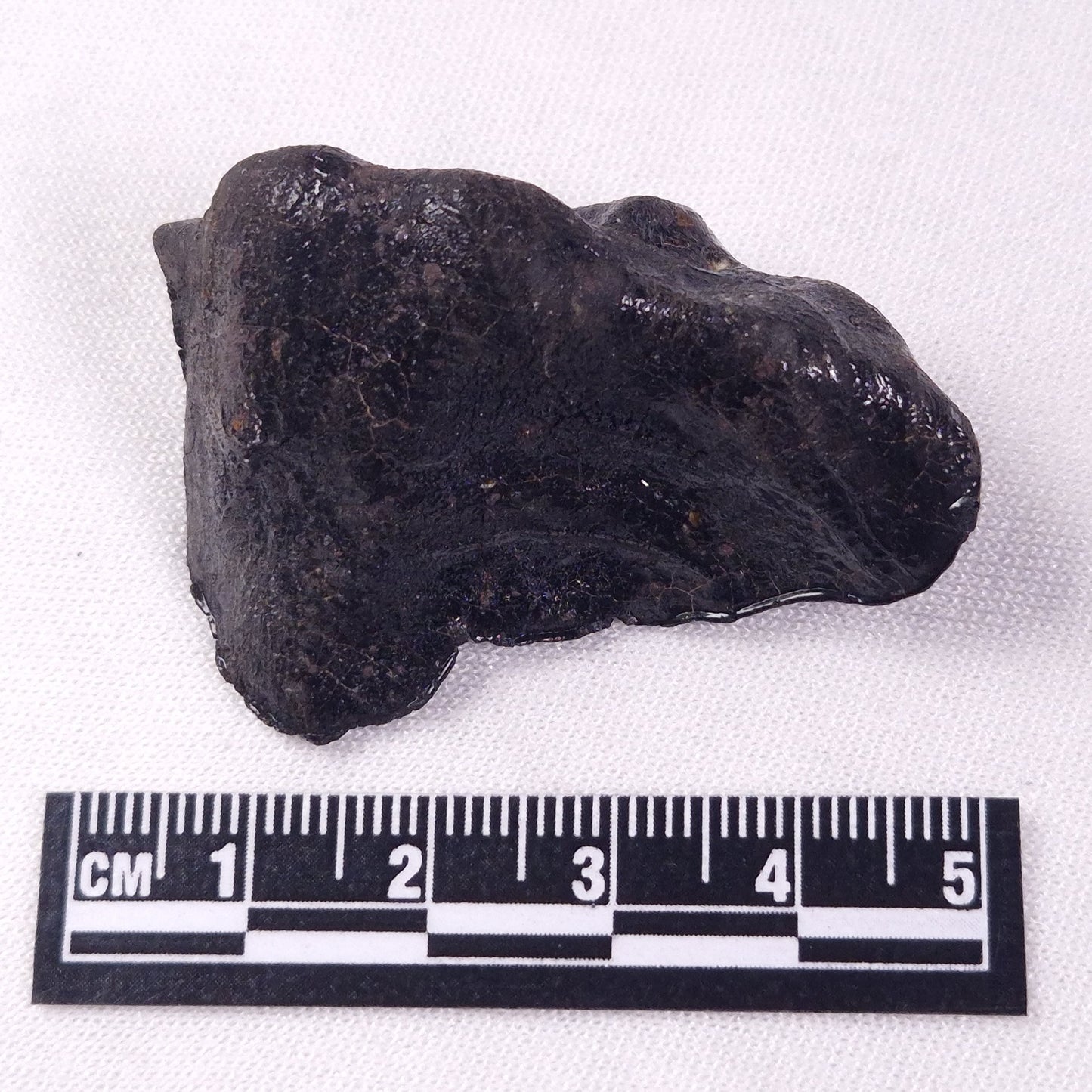 METEORITE CAMEL DONGA, Australia YCD027