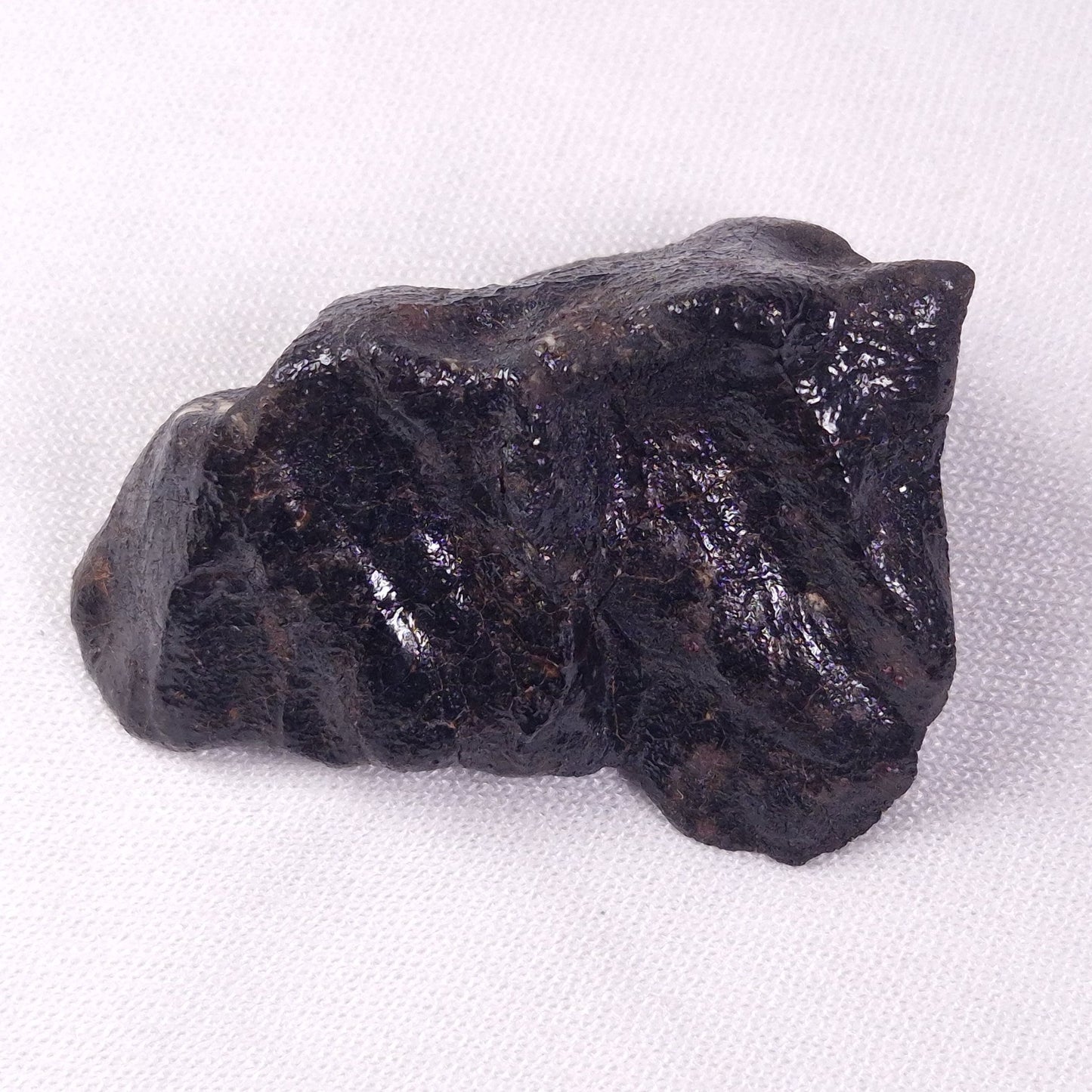 METEORITE CAMEL DONGA, Australia YCD027