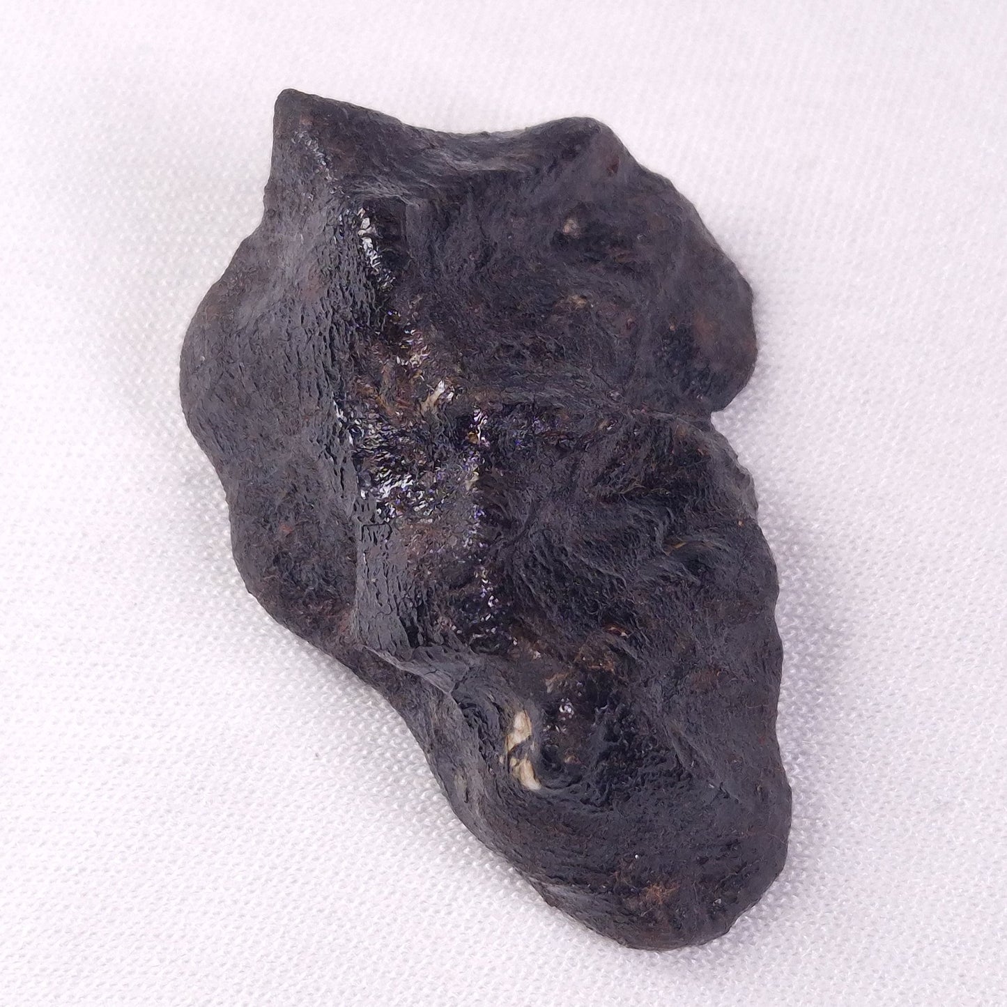 METEORITE CAMEL DONGA, Australia YCD027