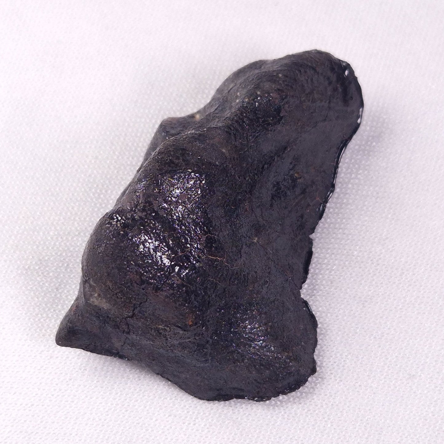 METEORITE CAMEL DONGA, Australia YCD027