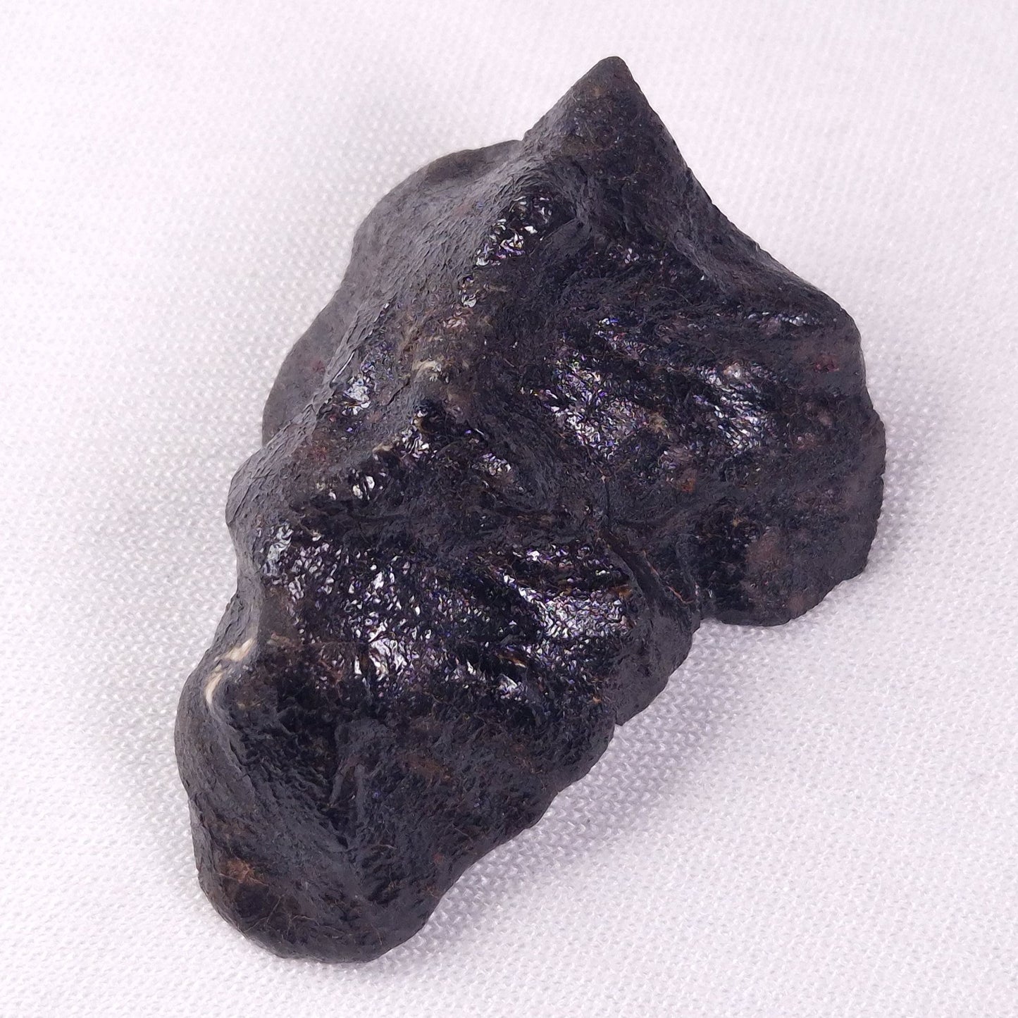 METEORITE CAMEL DONGA, Australia YCD027