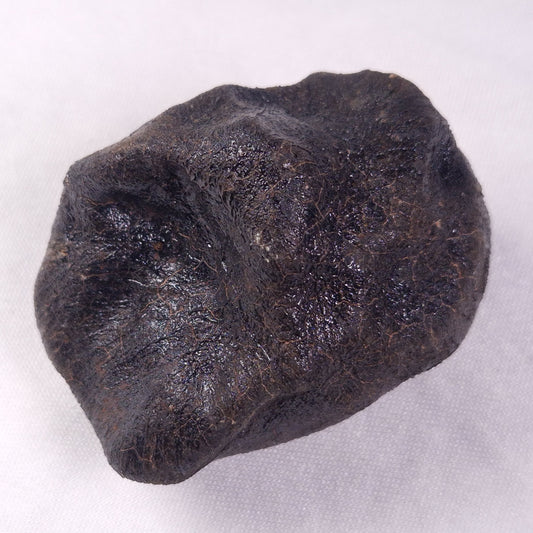 METEORITE CAMEL DONGA, Australia YCD028