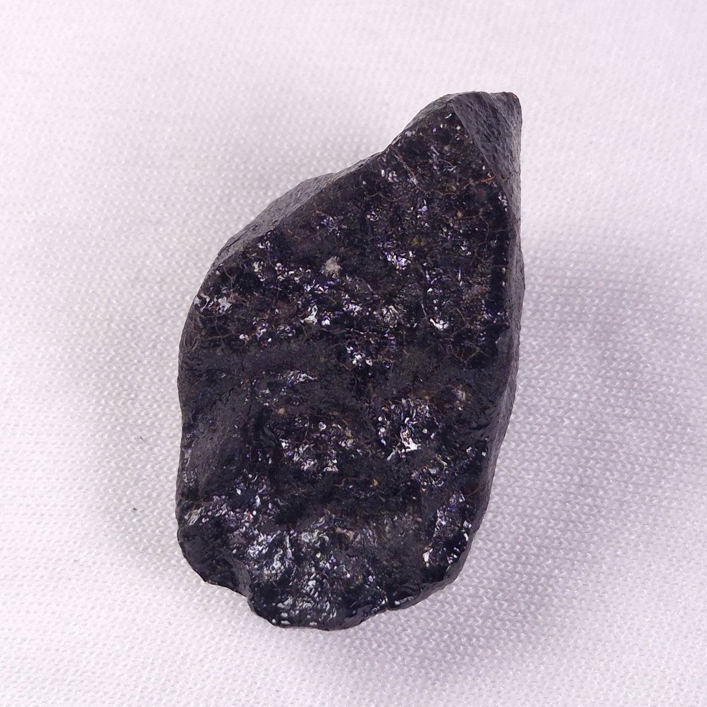METEORITE CAMEL DONGA, Australia YCD030