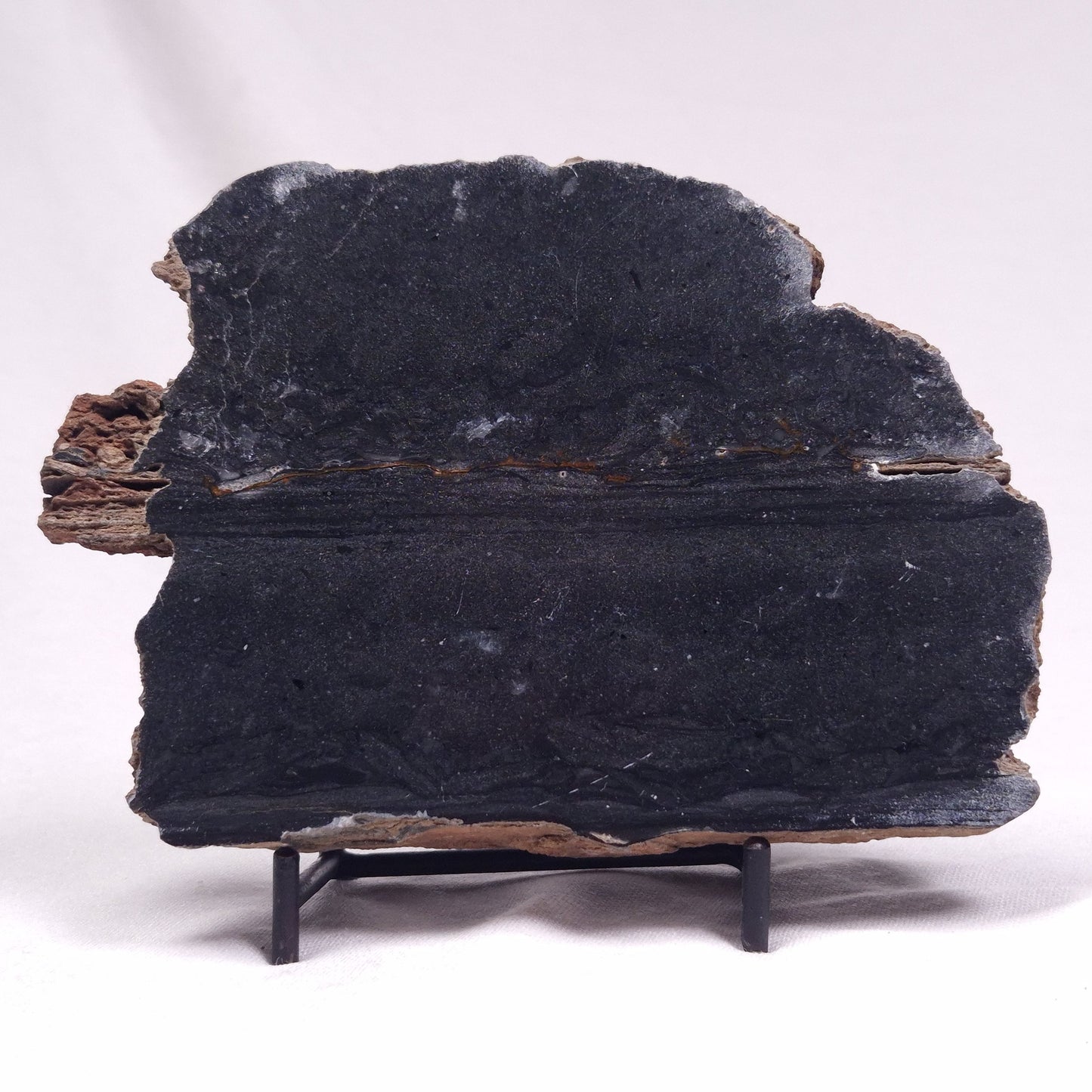 ALCHERINGA NARRINA STROMATOLITE, Late Archean, Australia ZAN020