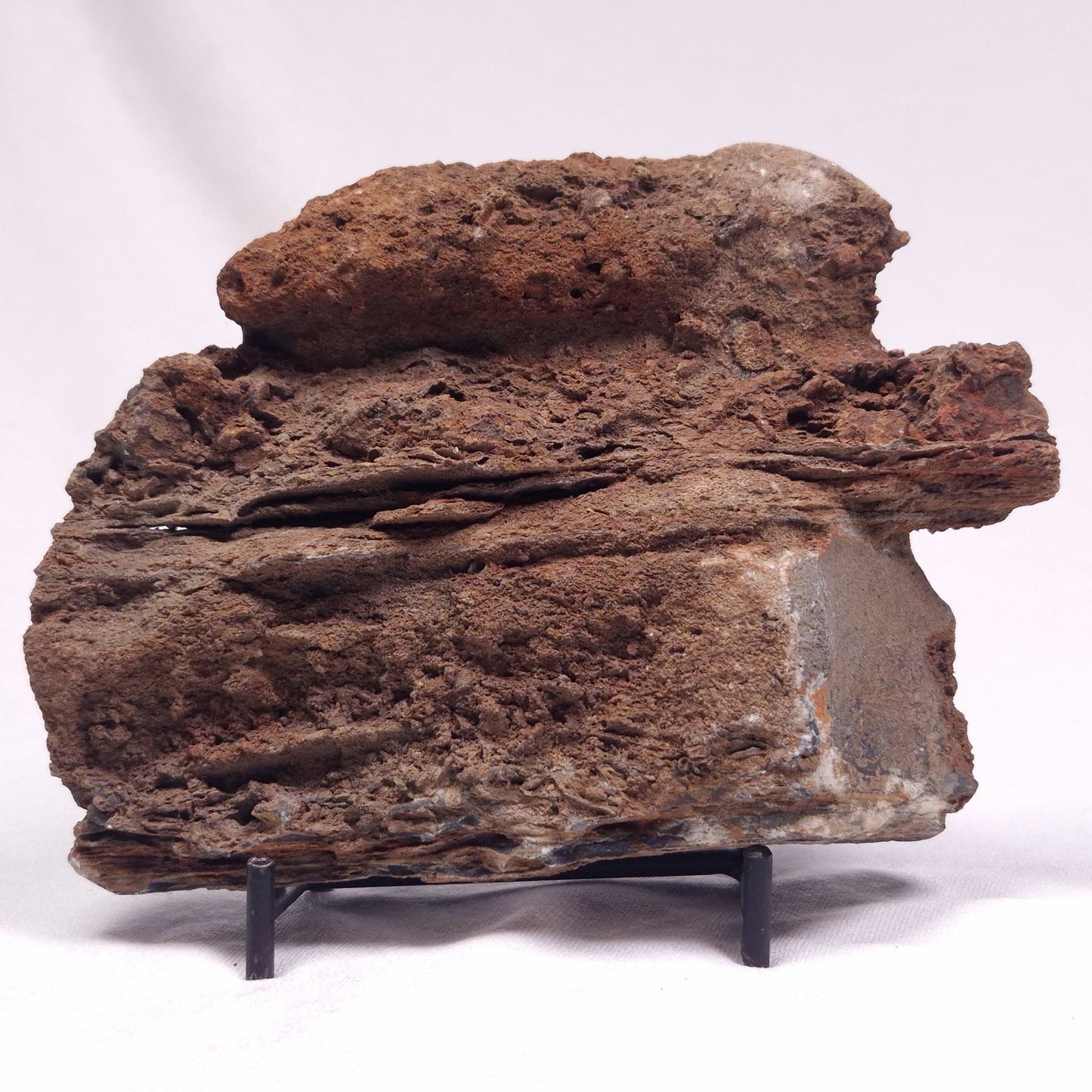 ALCHERINGA NARRINA STROMATOLITE, Late Archean, Australia ZAN020