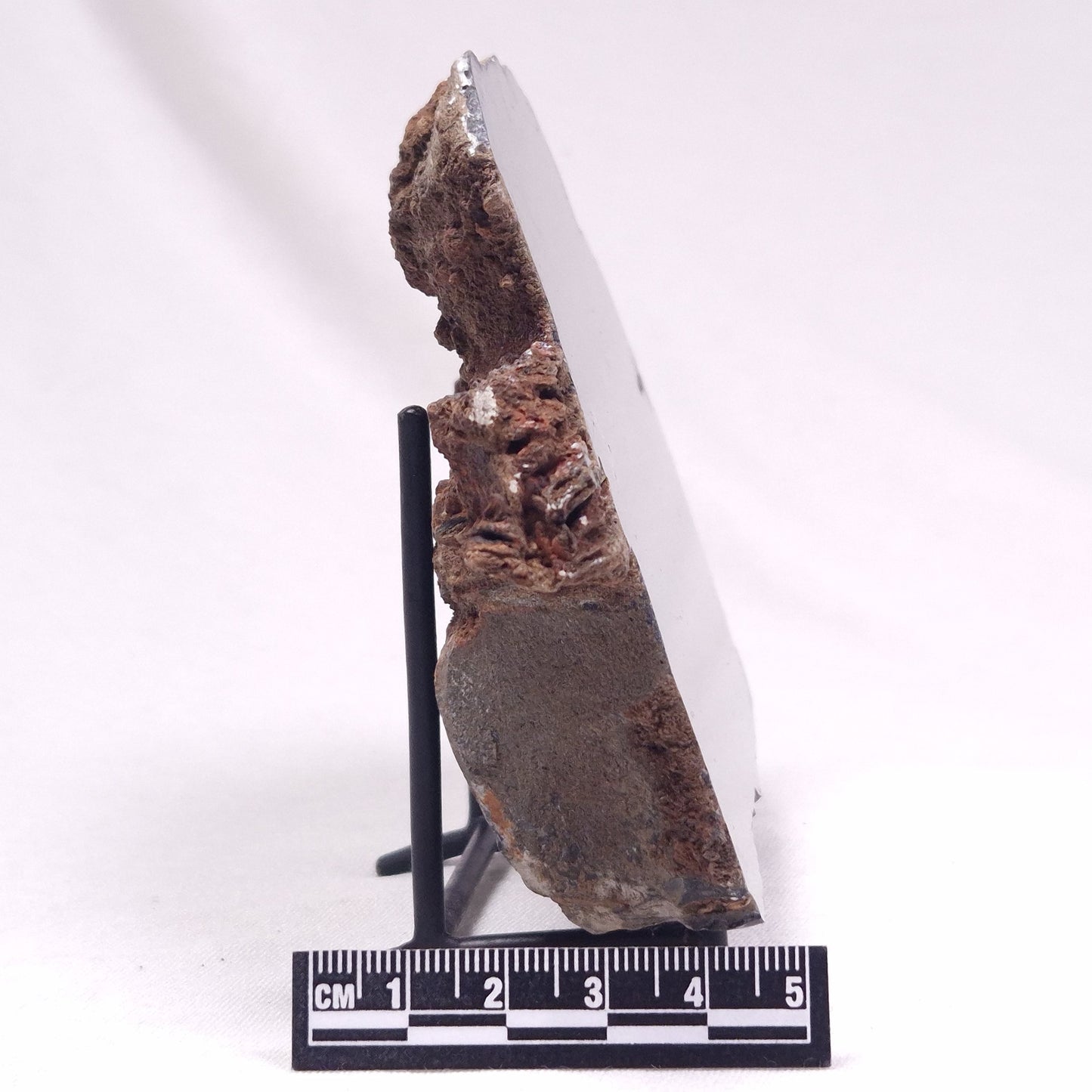 ALCHERINGA NARRINA STROMATOLITE, Late Archean, Australia ZAN020