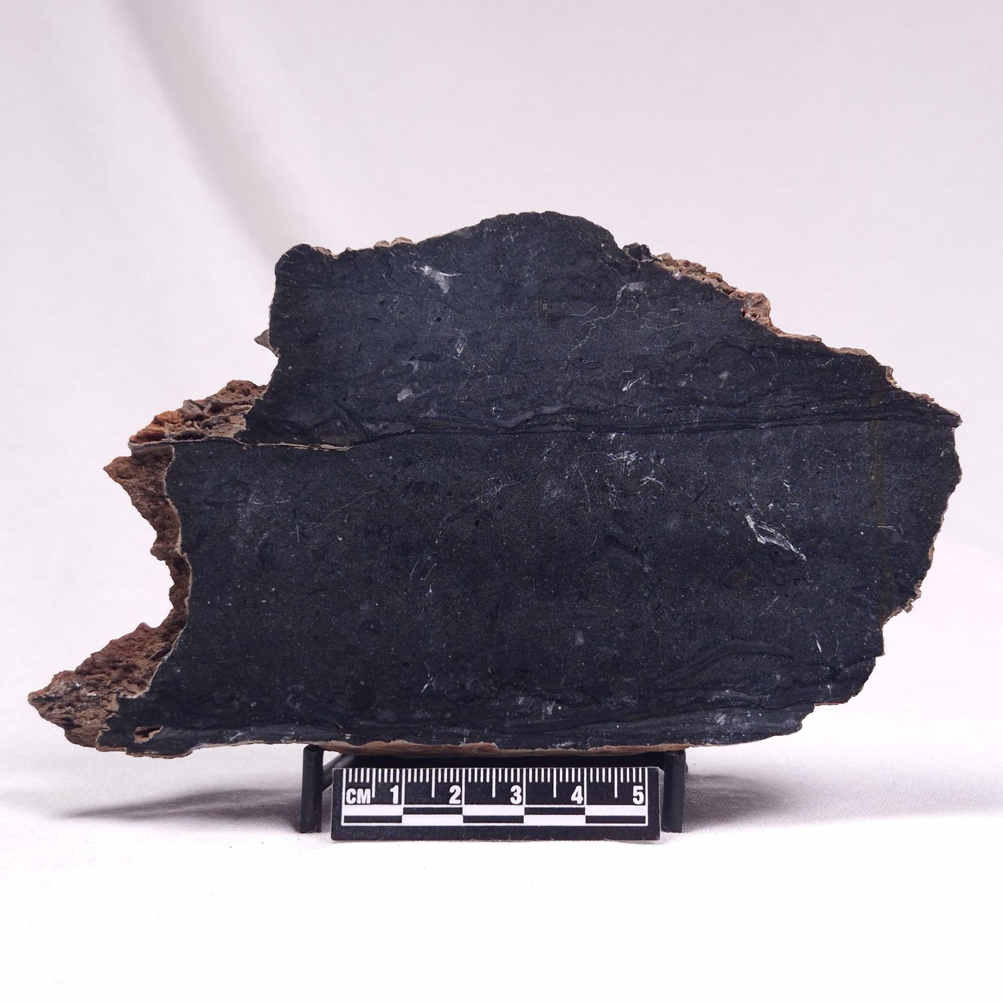 ALCHERINGA NARRINA STROMATOLITE, Late Archean, Australia ZAN021