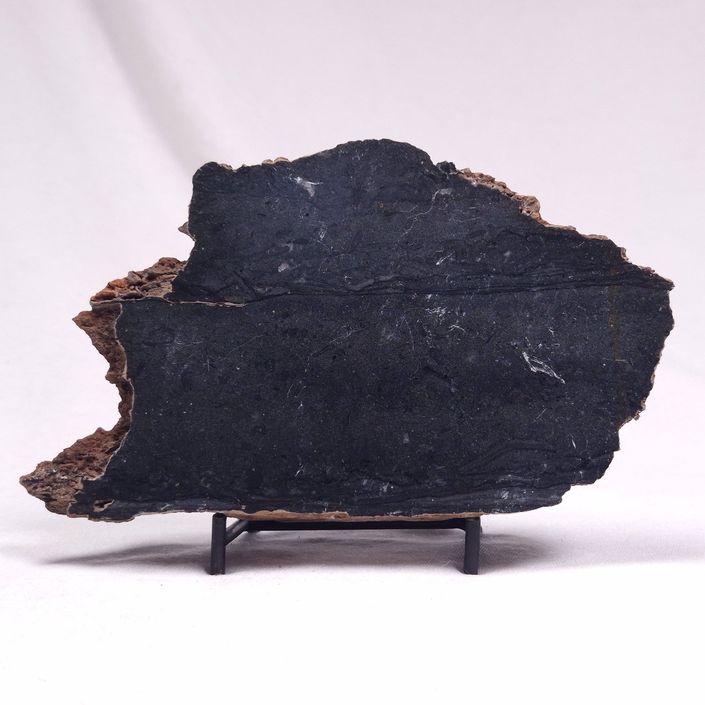 ALCHERINGA NARRINA STROMATOLITE, Late Archean, Australia ZAN021