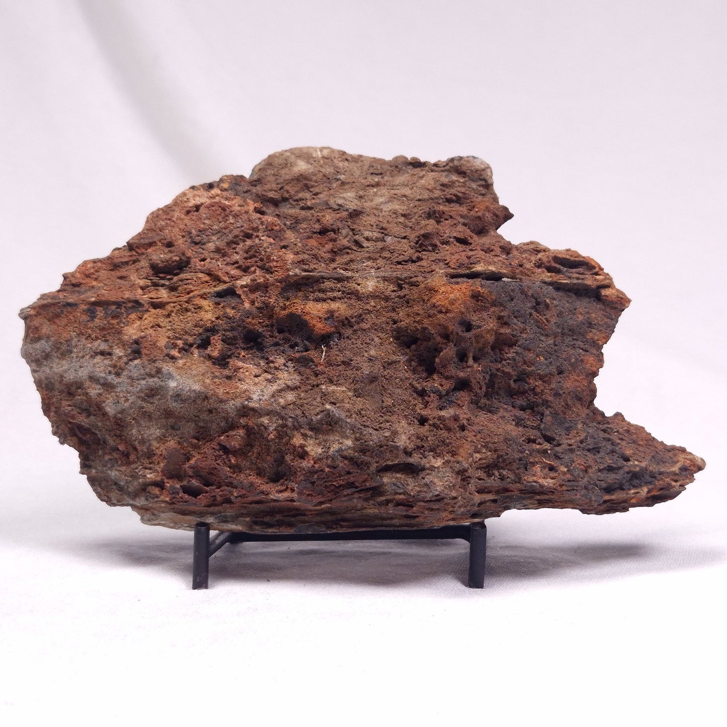 ALCHERINGA NARRINA STROMATOLITE, Late Archean, Australia ZAN021