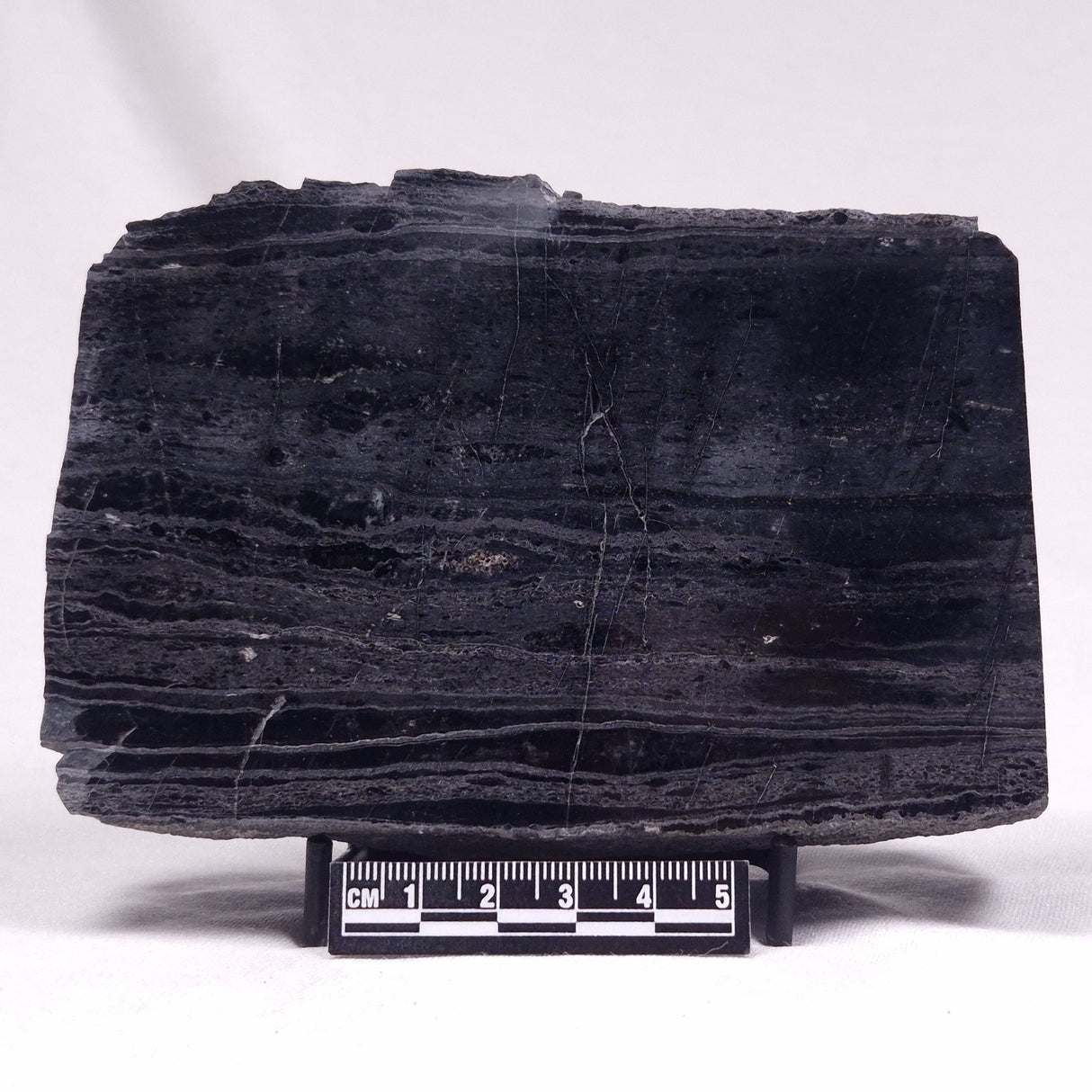 ALCHERINGA NARRINA STROMATOLITE, Late Archean, Australia ZAN022