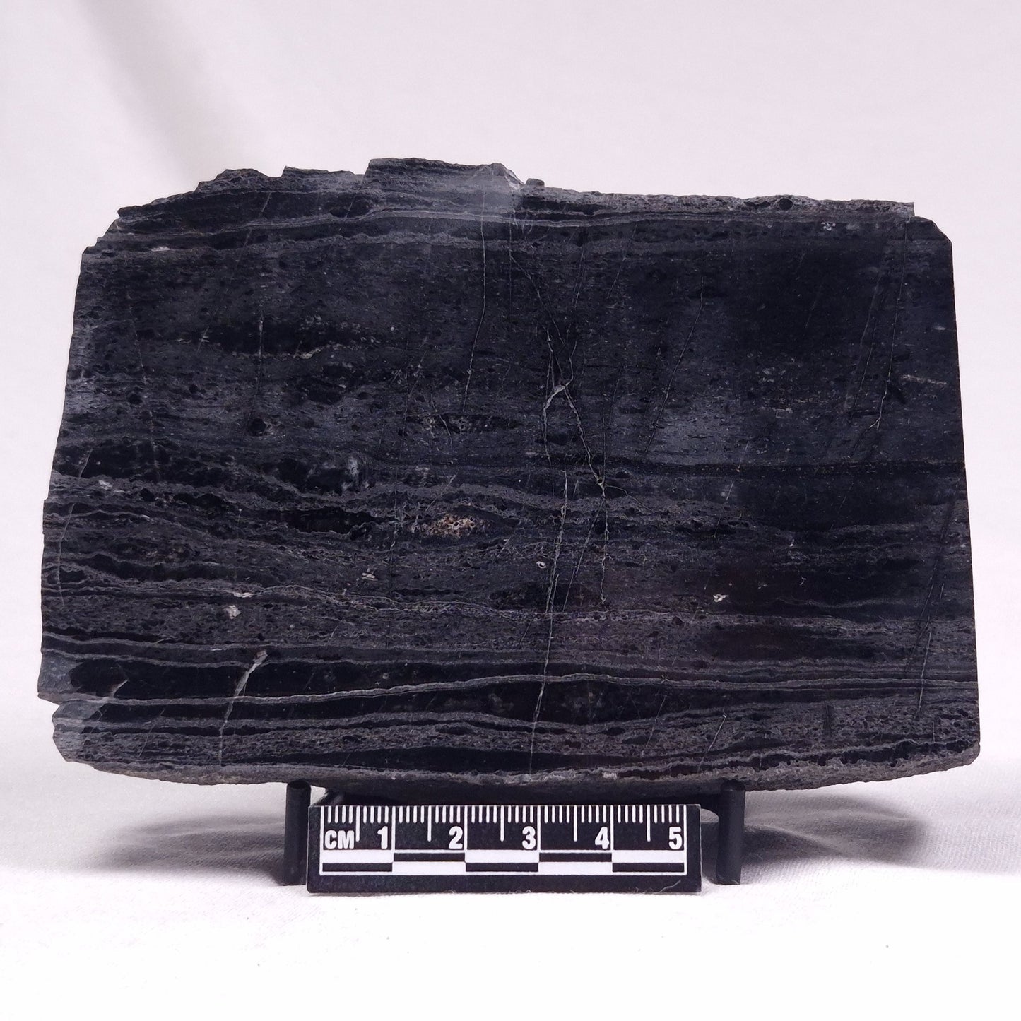 ALCHERINGA NARRINA STROMATOLITE, Late Archean, Australia ZAN022