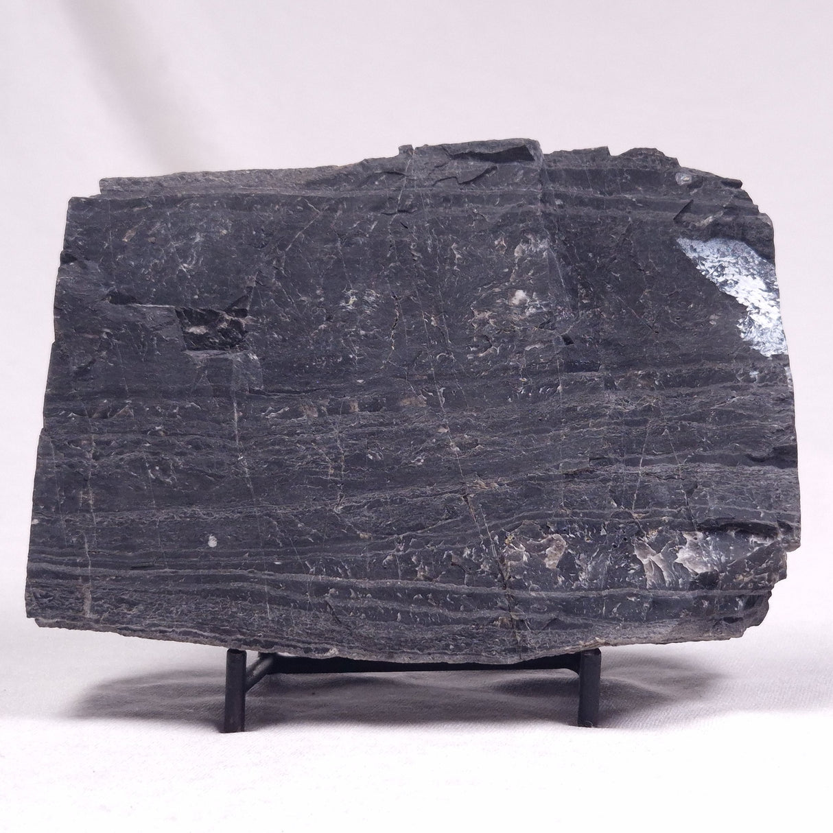 ALCHERINGA NARRINA STROMATOLITE, Late Archean, Australia ZAN022