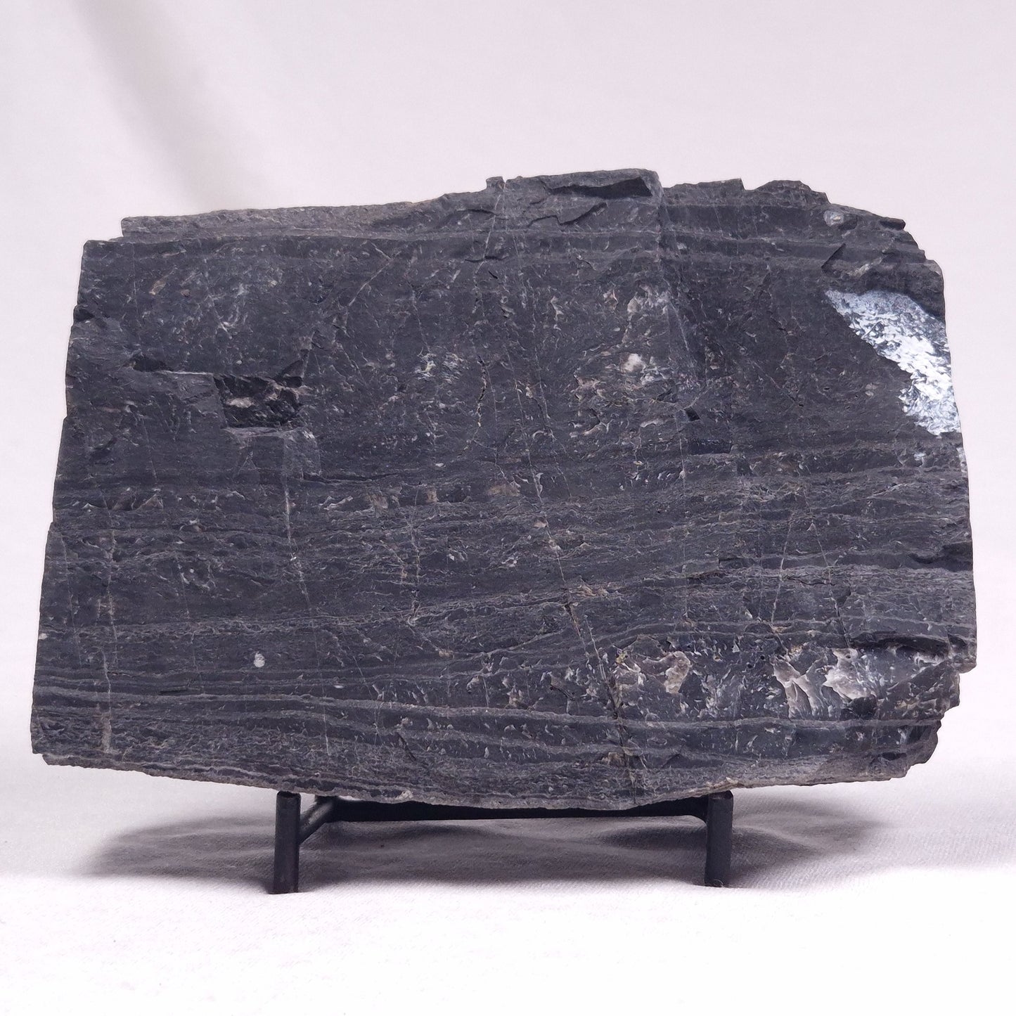 ALCHERINGA NARRINA STROMATOLITE, Late Archean, Australia ZAN022