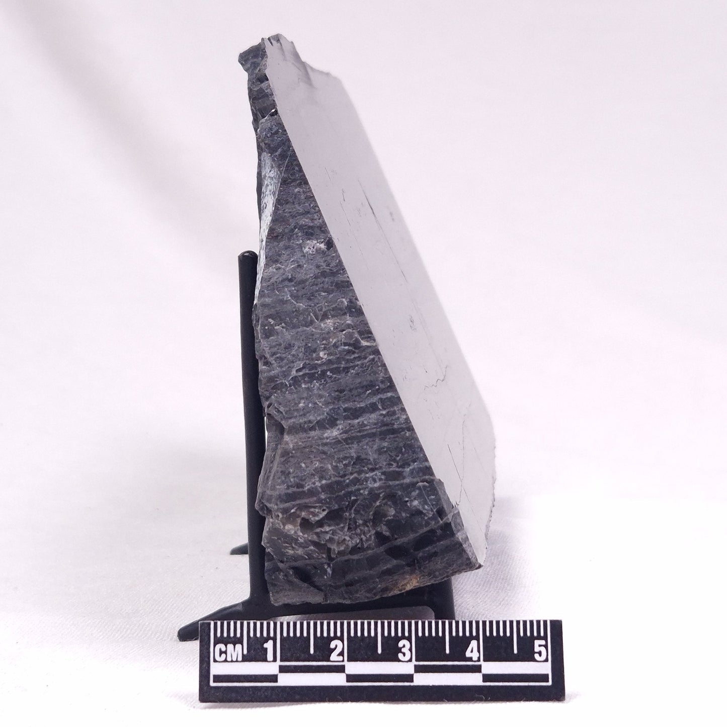 ALCHERINGA NARRINA STROMATOLITE, Late Archean, Australia ZAN022