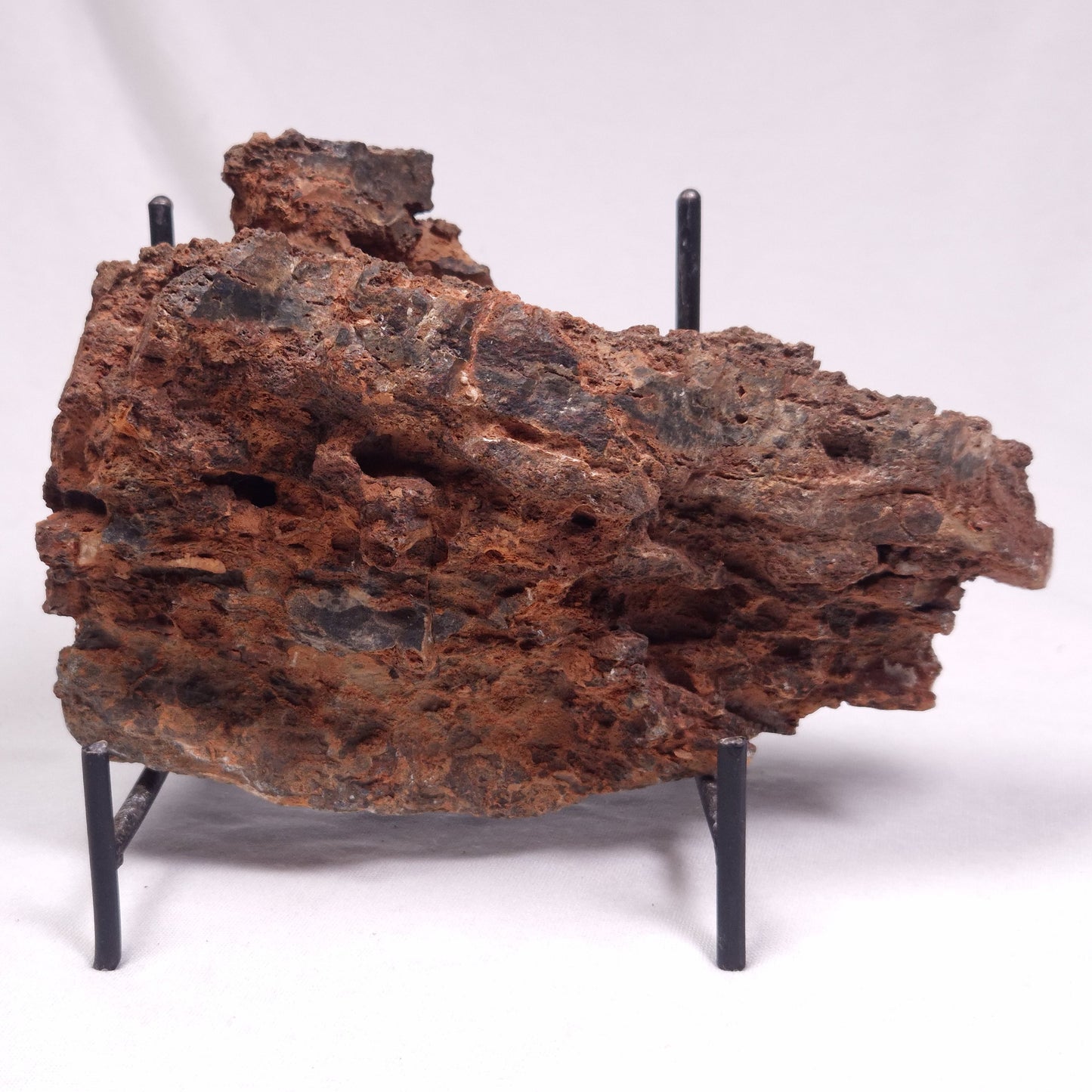 ALCHERINGA NARRINA STROMATOLITE, Late Archean, Australia ZAN023