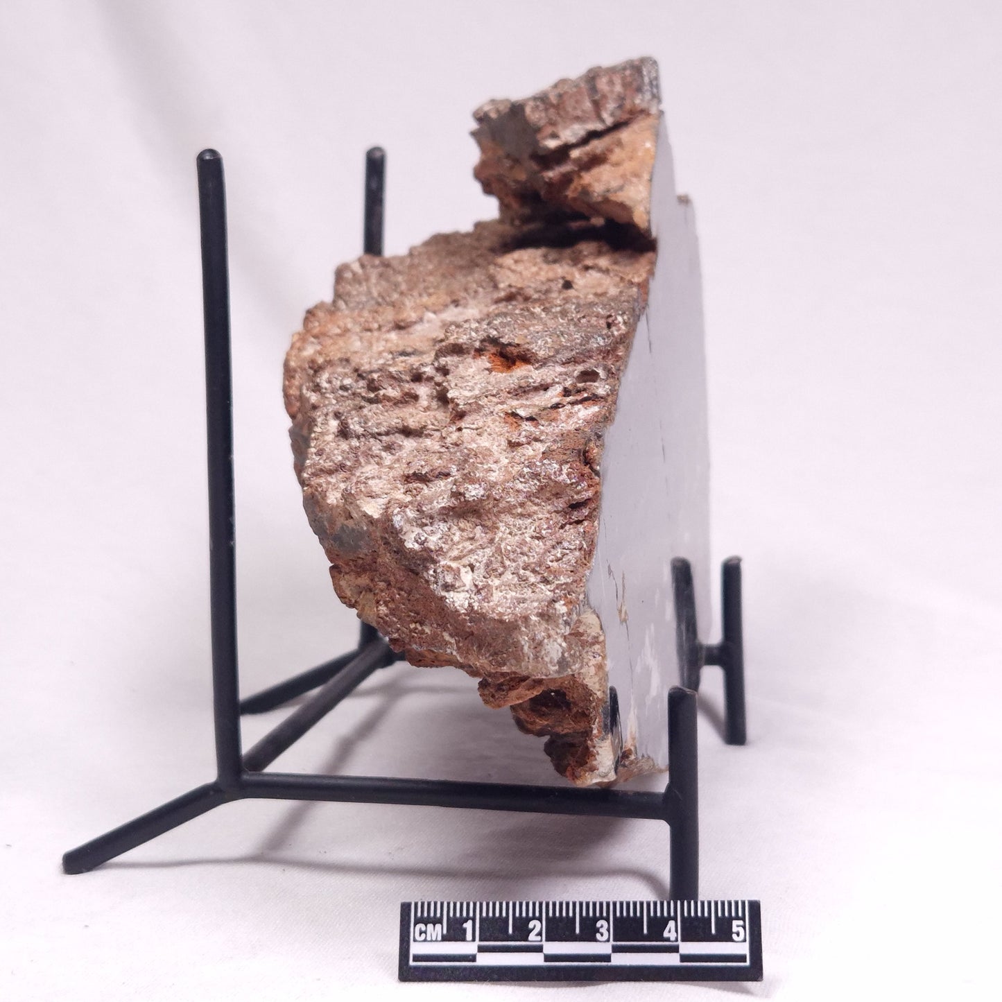 ALCHERINGA NARRINA STROMATOLITE, Late Archean, Australia ZAN023